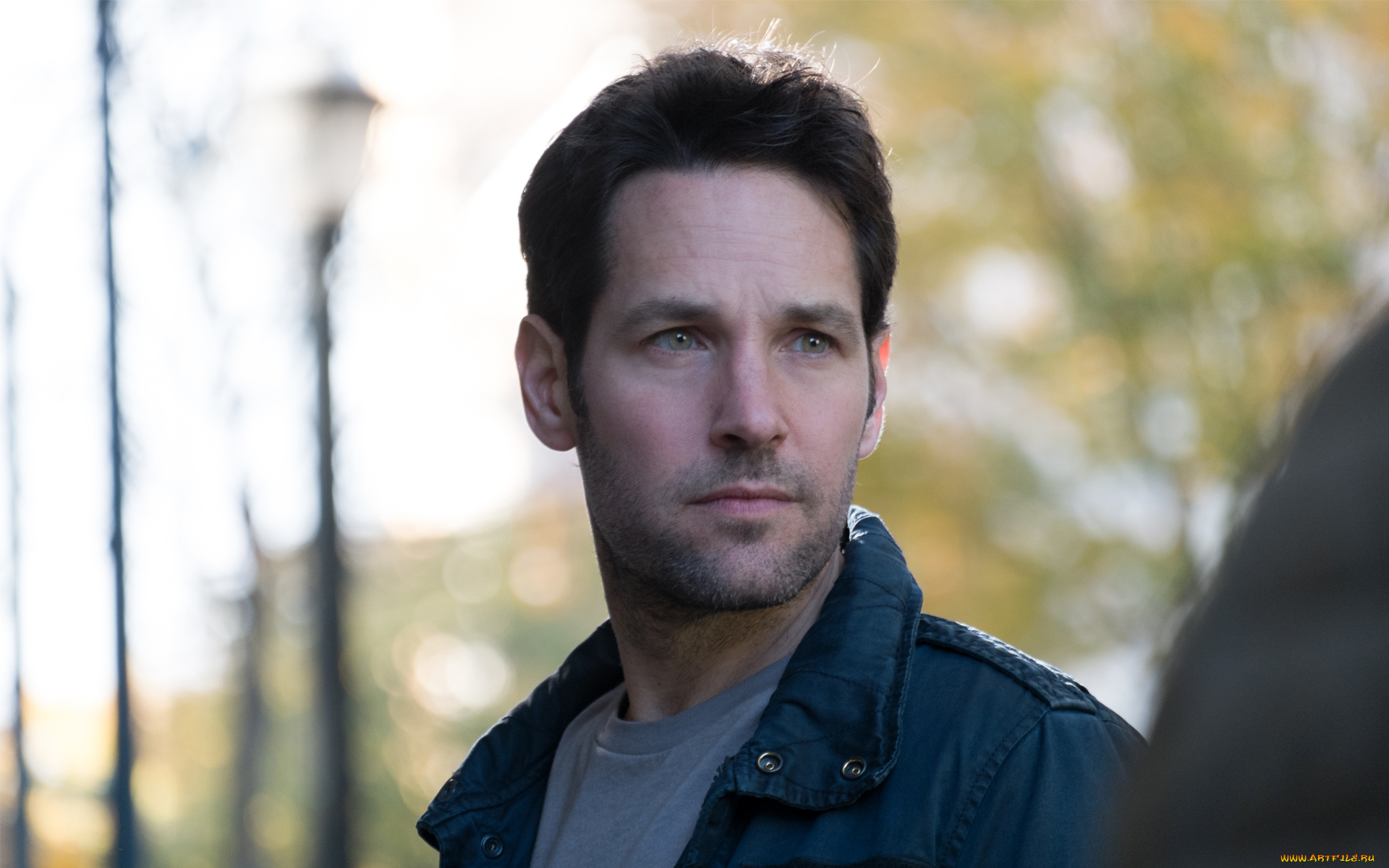 ant, man, кино, фильмы, ant-man, персонаж