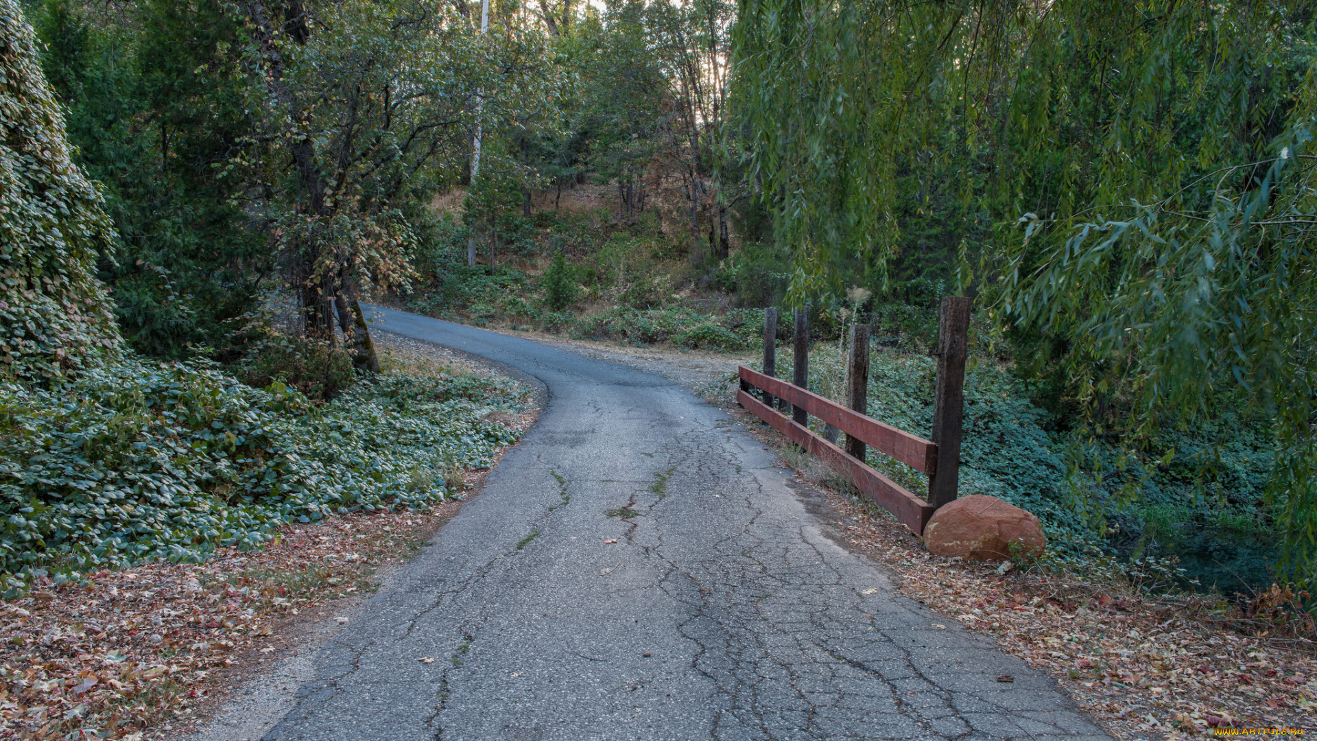 природа, дороги, тракт