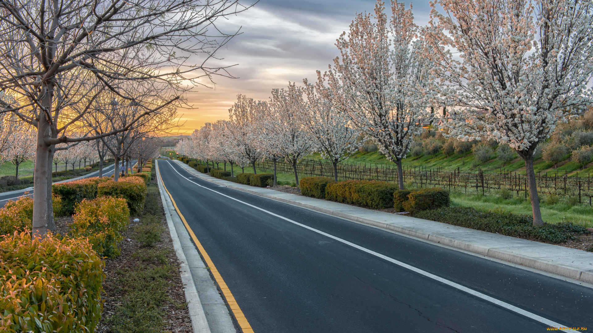 природа, дороги, тракт