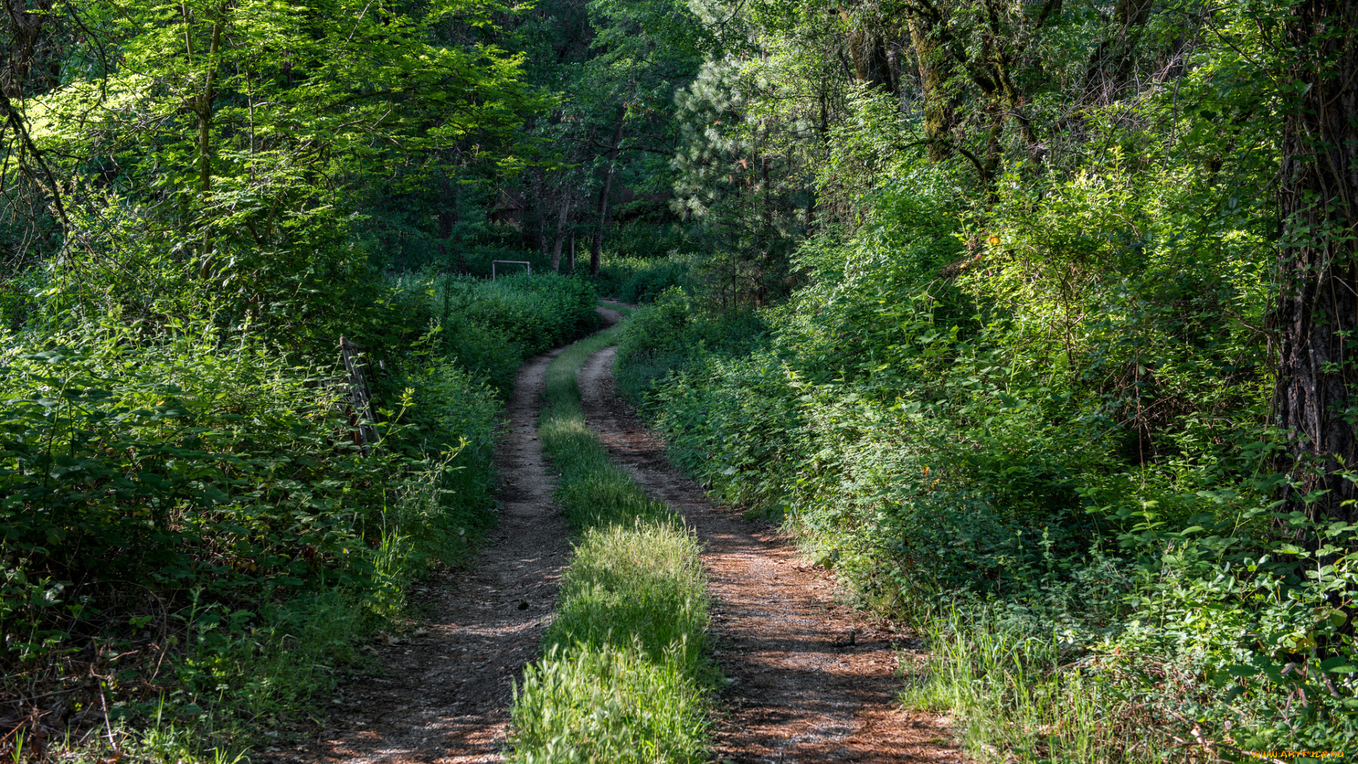 природа, дороги, тракт