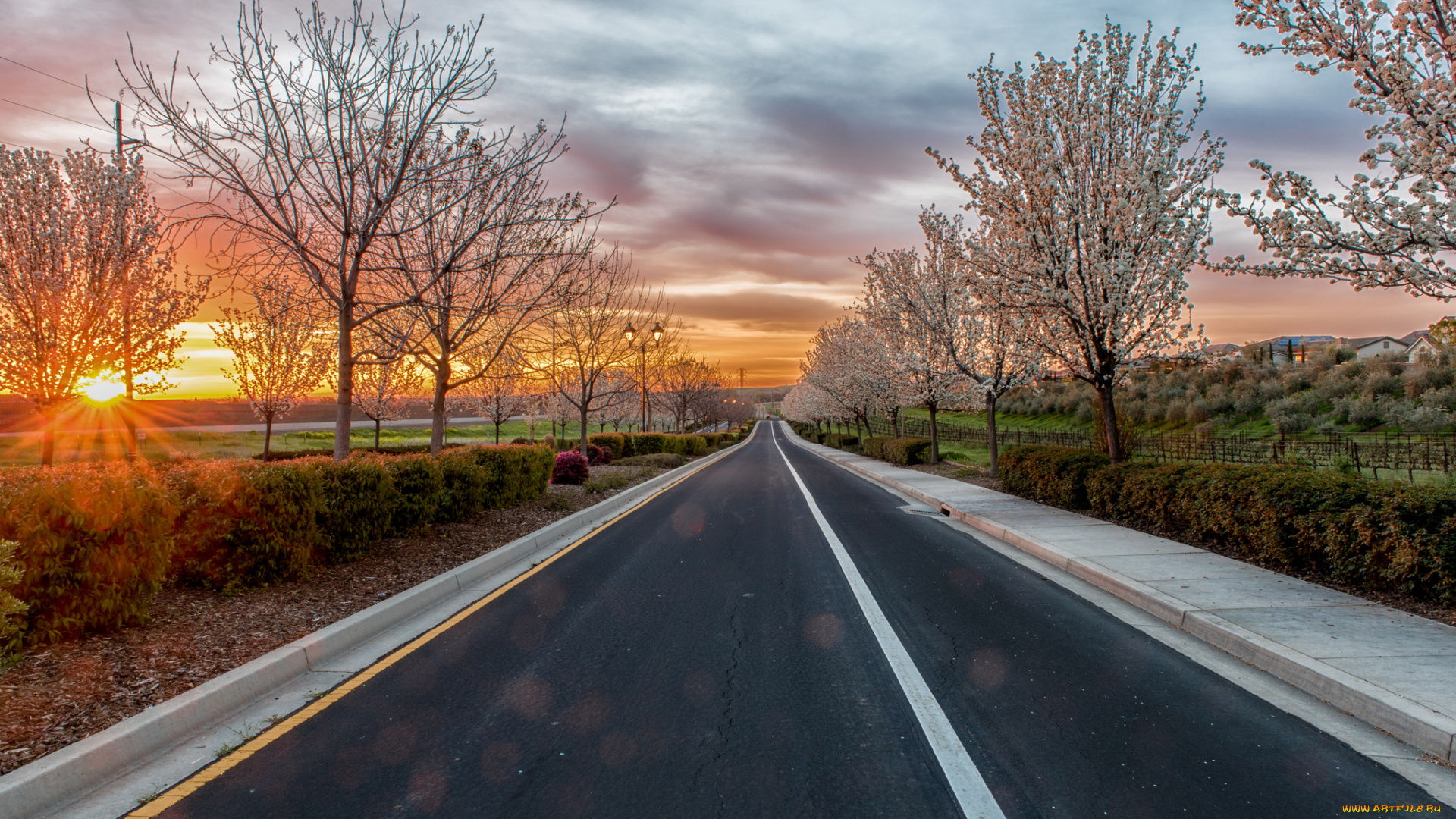 природа, дороги, тракт
