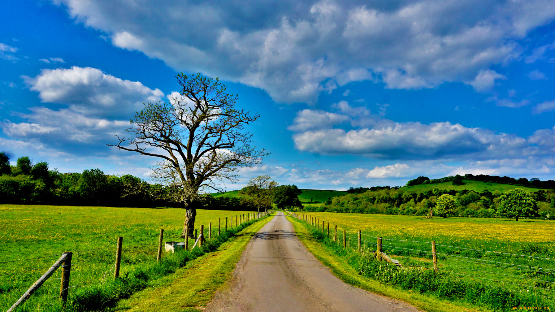 природа, дороги, тракт