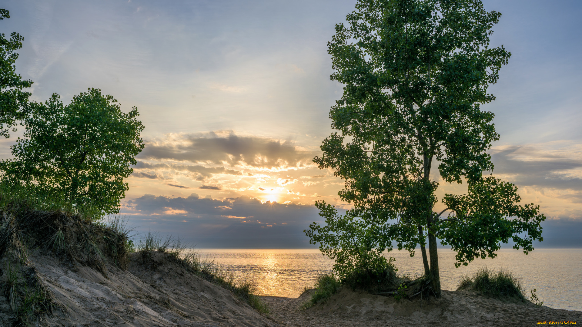 природа, побережье, рассвет