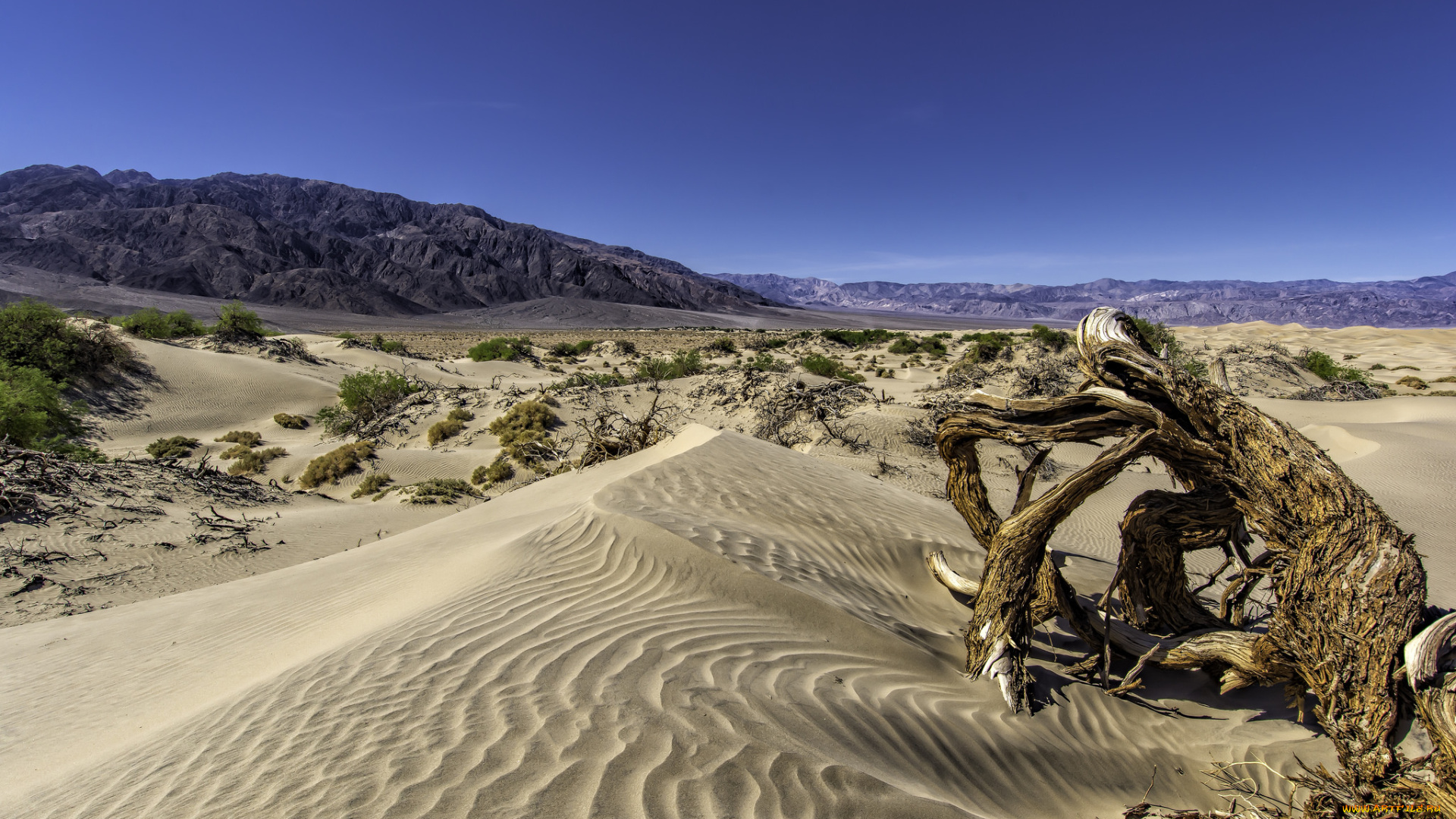 природа, пустыни, дюны