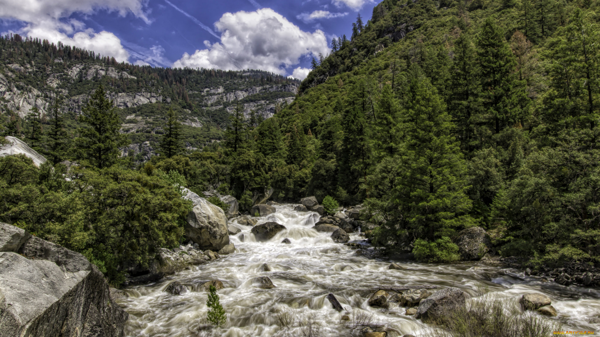 природа, реки, озера, лес, река