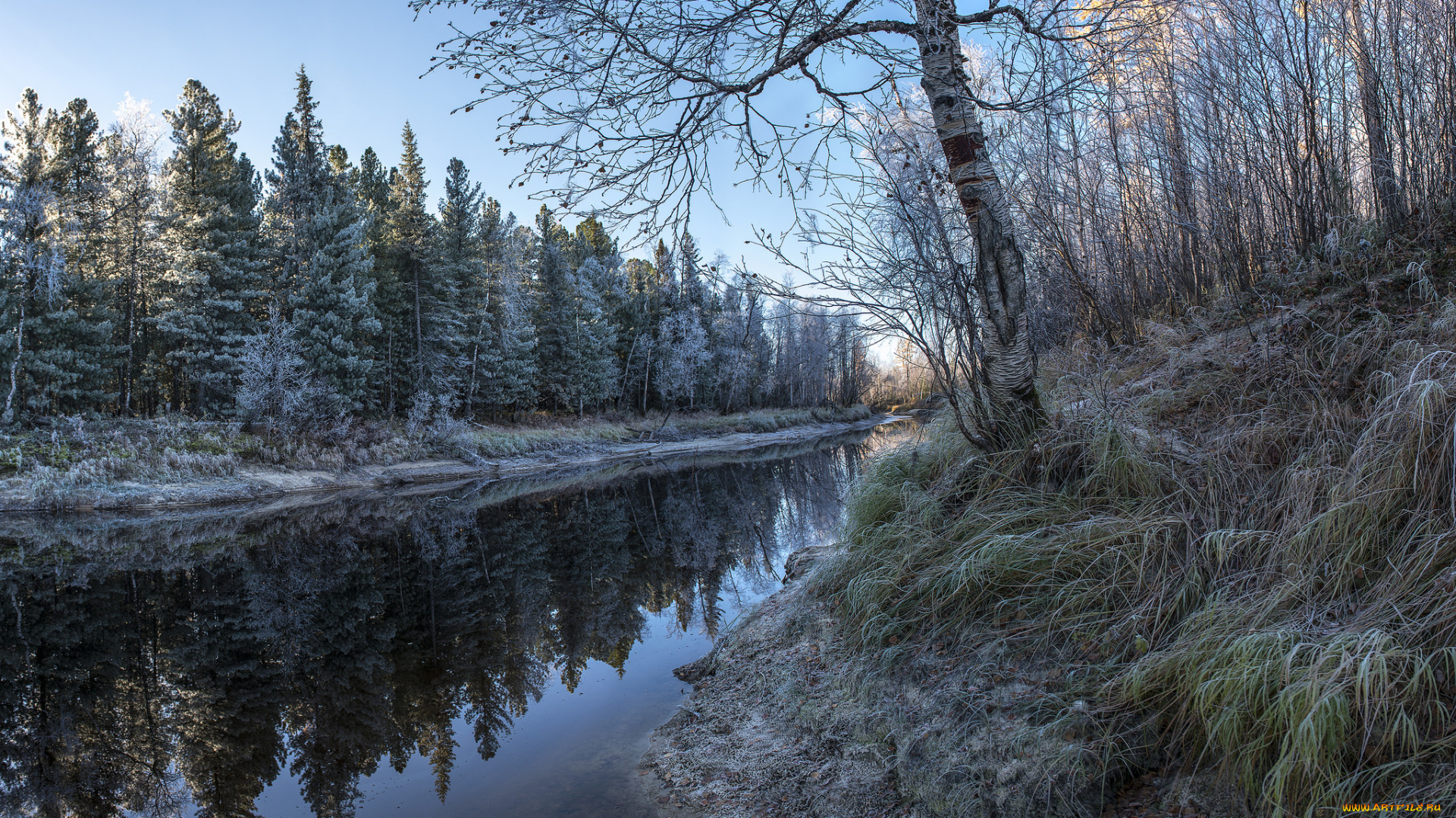 природа, реки, озера, лес, река