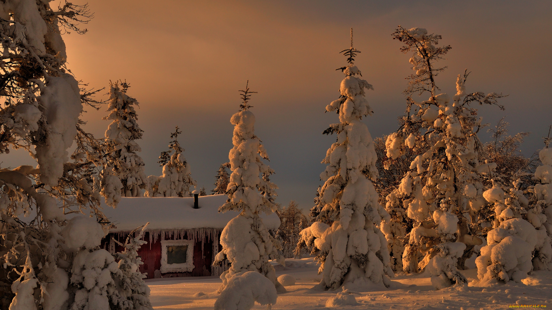 природа, зима, снег