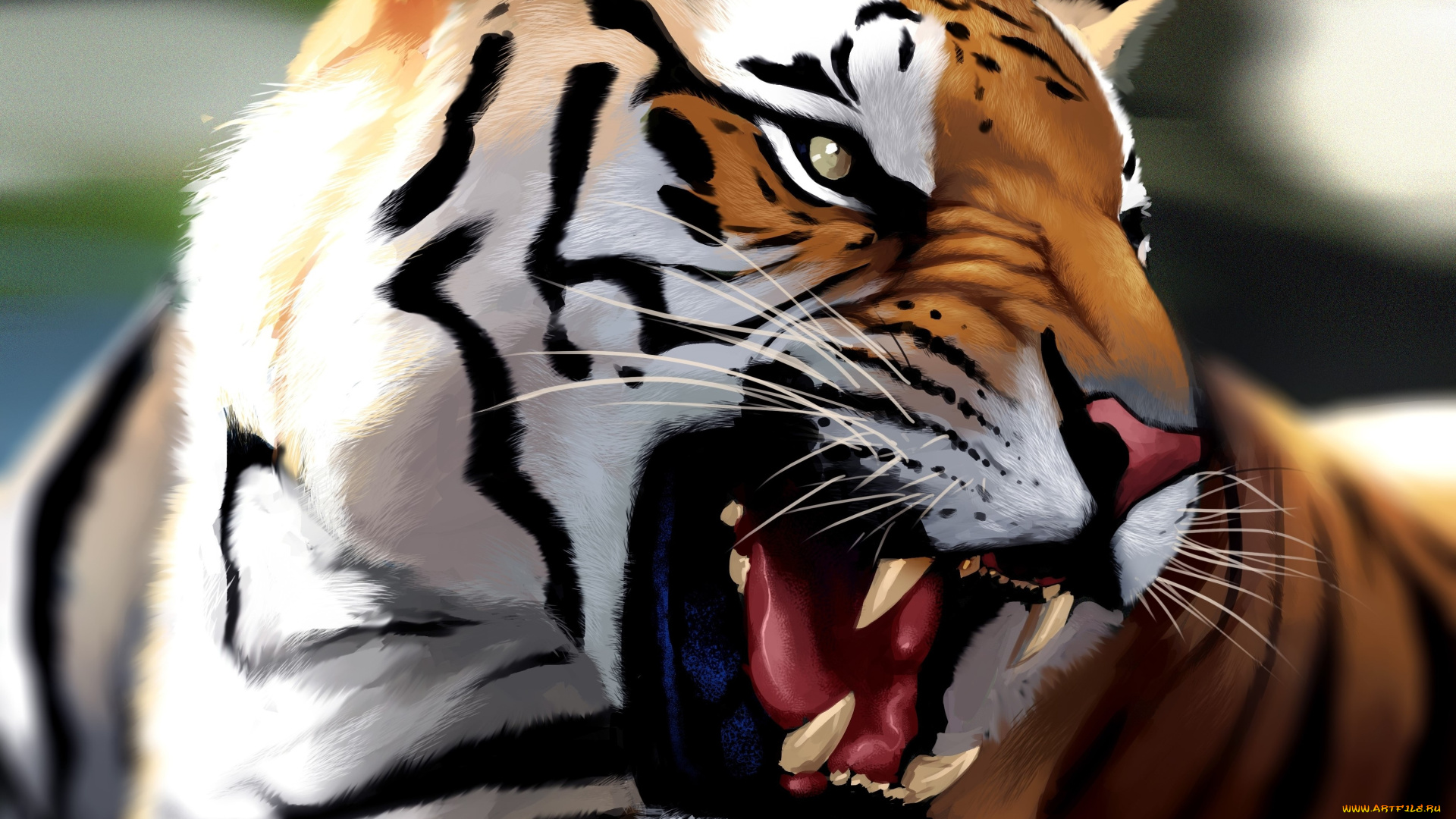 рисованное, животные, , тигры, ярость, арт, оскал, морда, тигр
