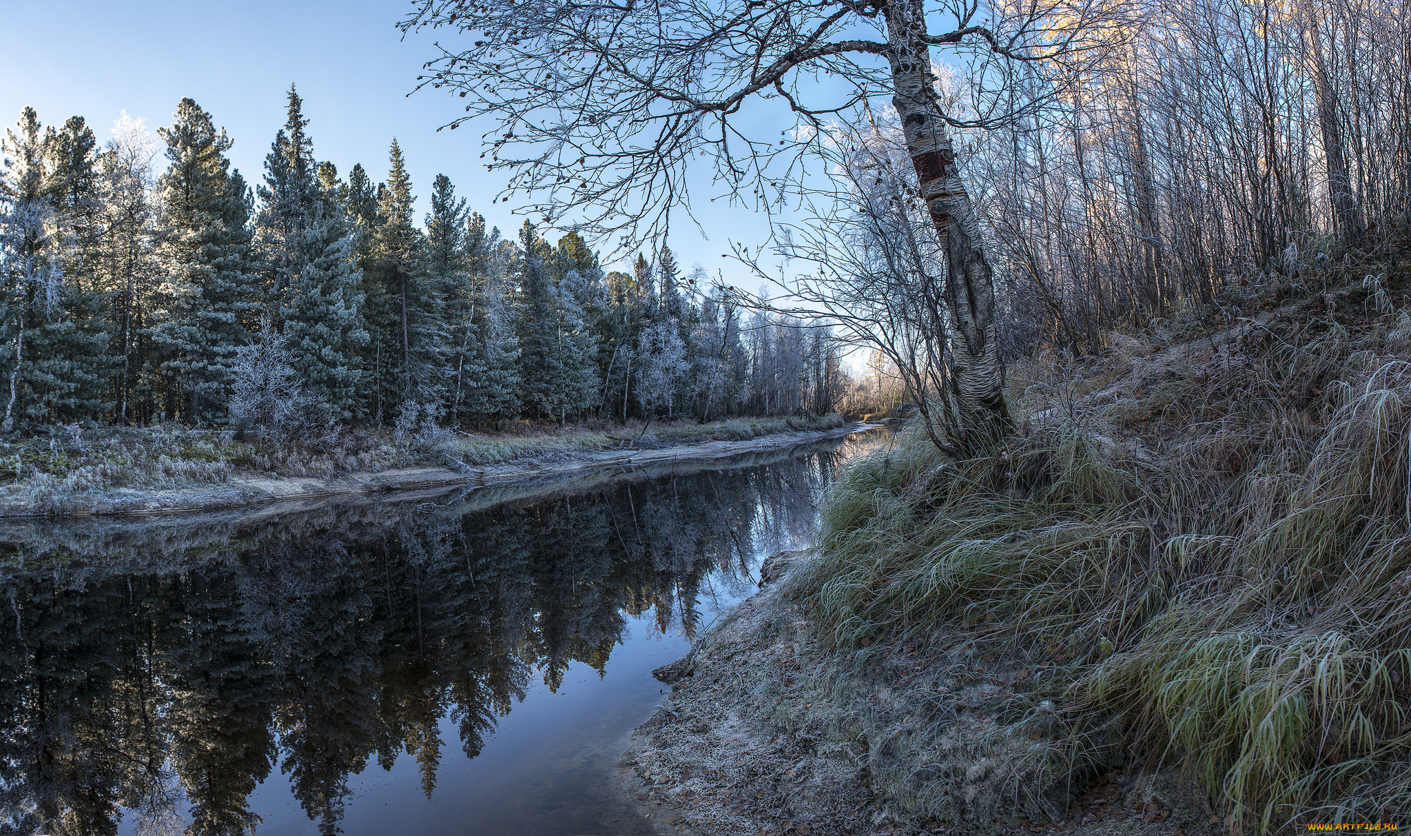 природа, реки, озера, лес, река