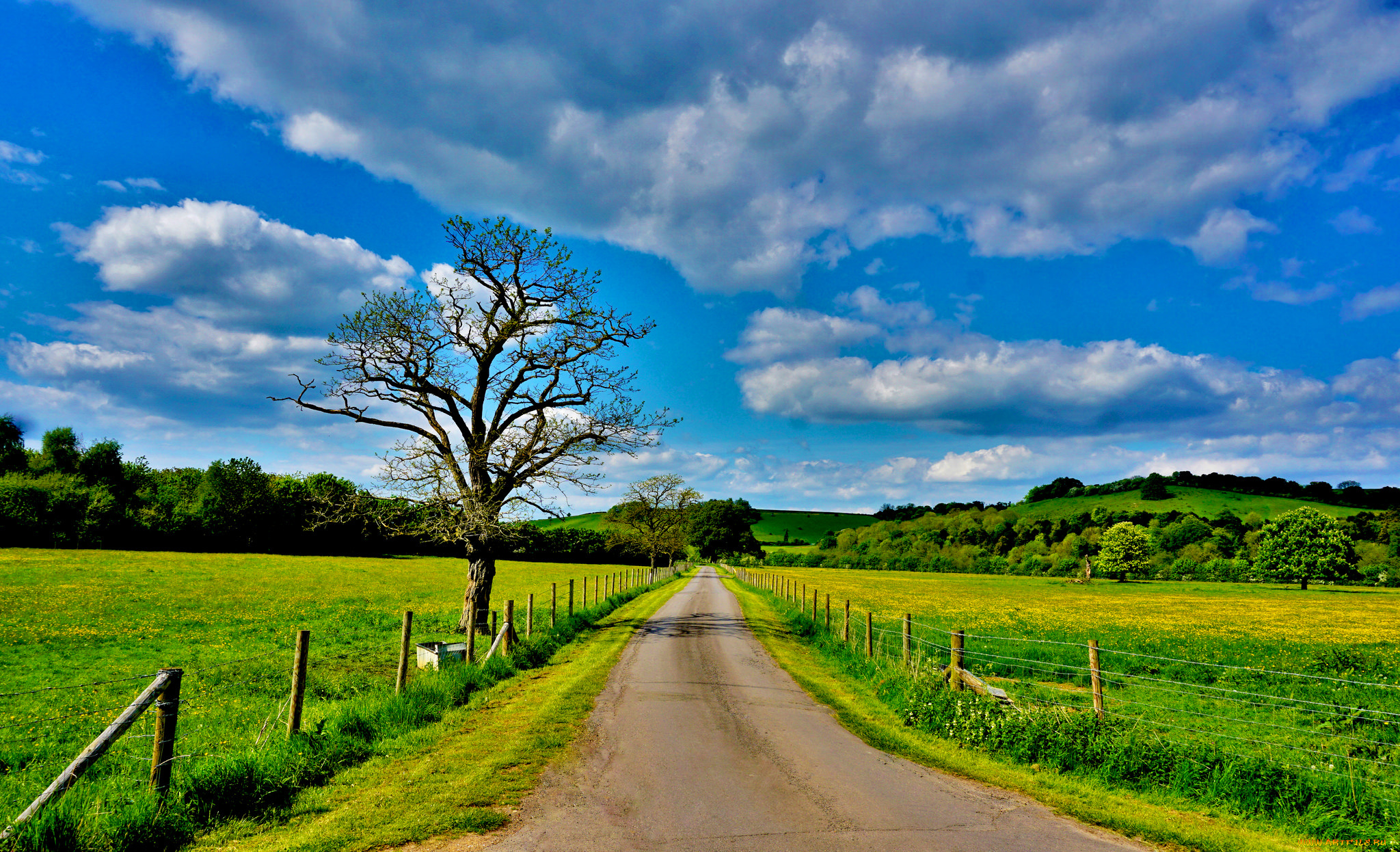 природа, дороги, тракт