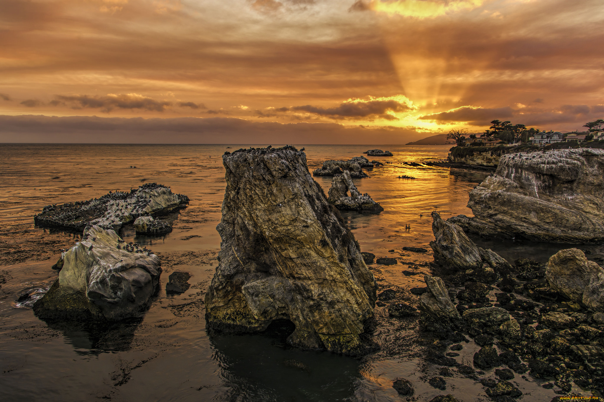 природа, побережье, рассвет