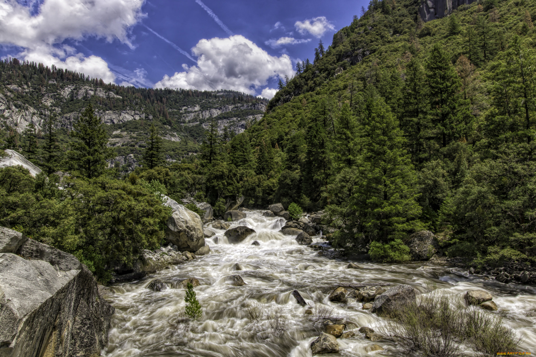 природа, реки, озера, лес, река