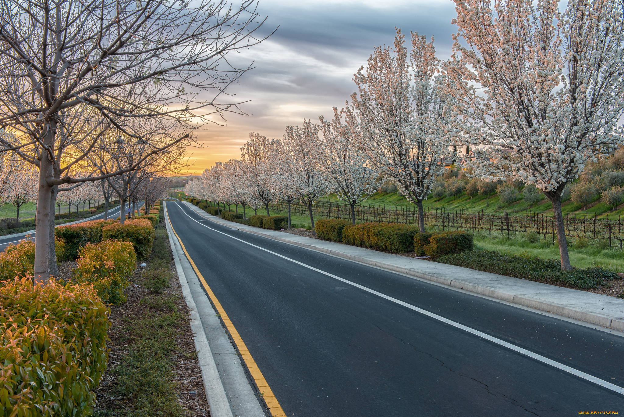 природа, дороги, тракт