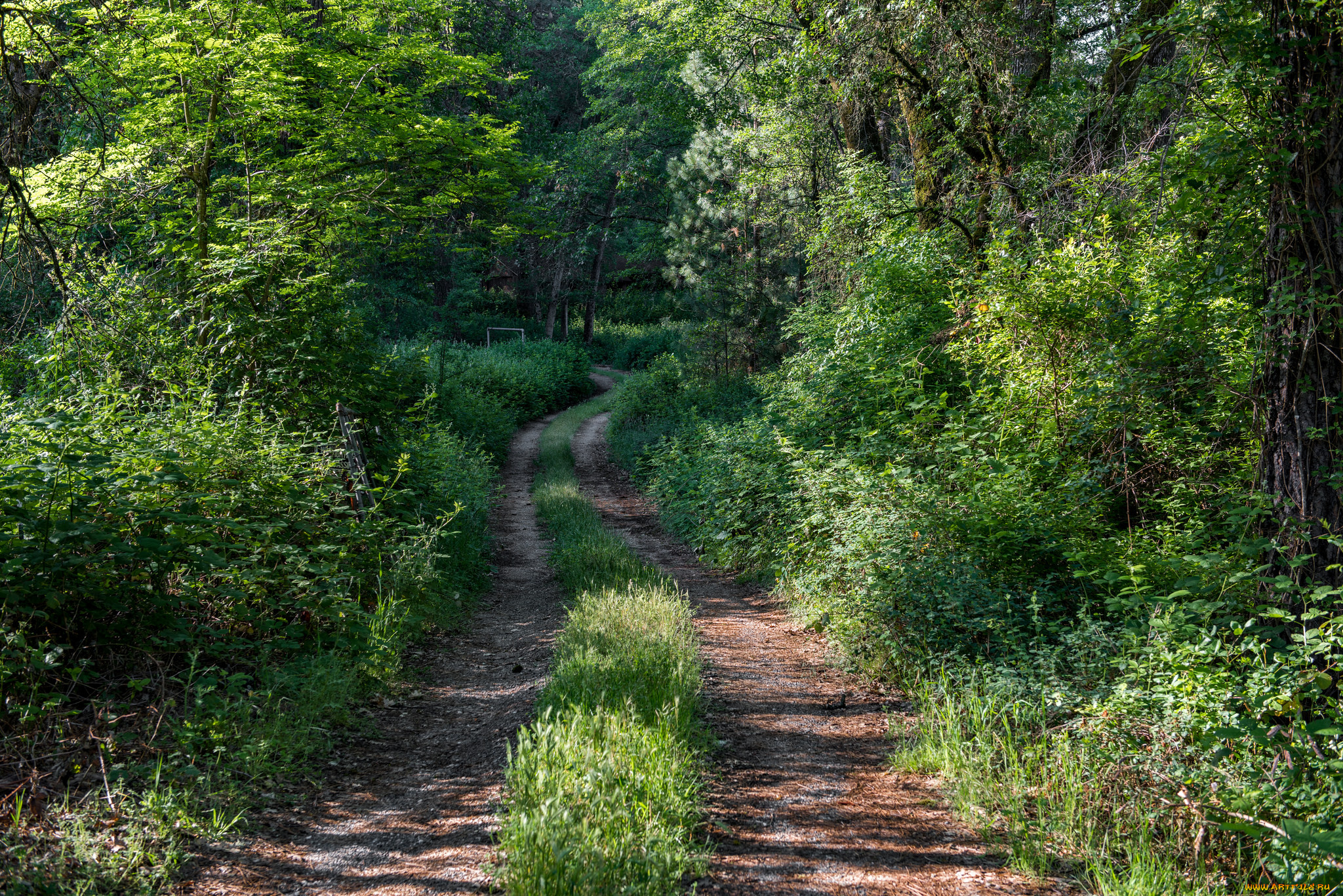 природа, дороги, тракт