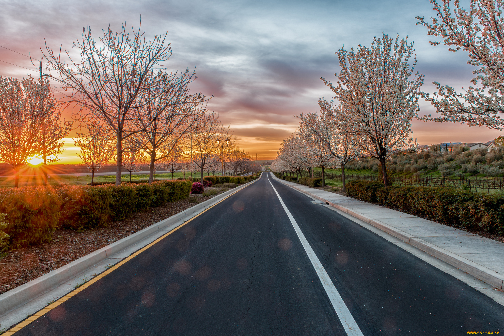 природа, дороги, тракт