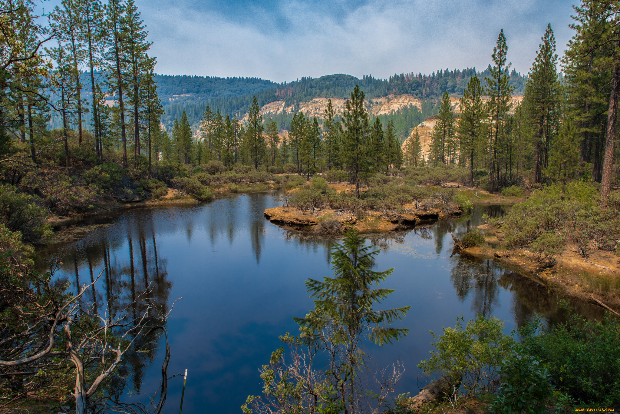 природа, реки, озера, лес, река