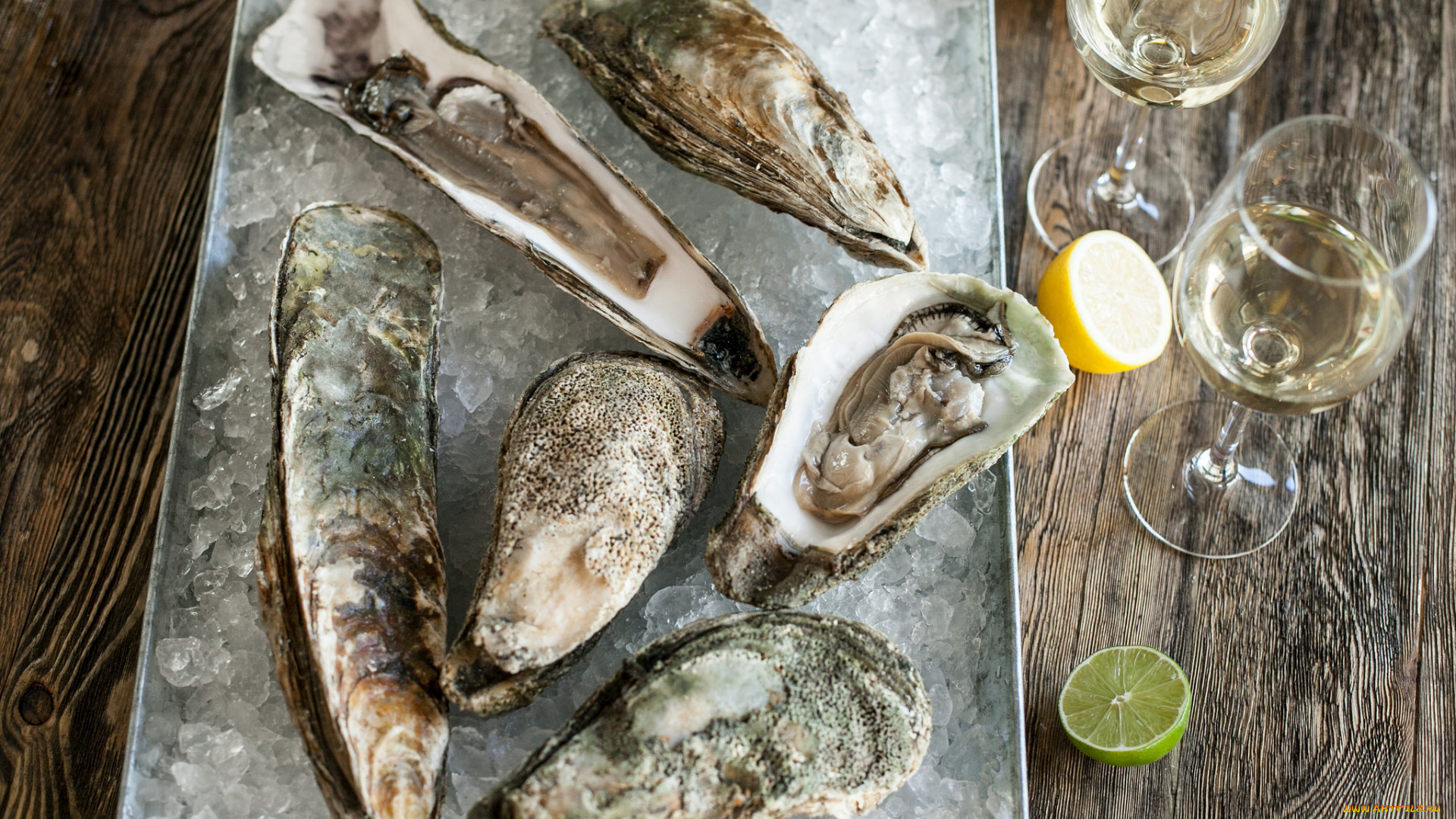 еда, рыба, , морепродукты, , суши, , роллы, вино, морепродукты, мидии