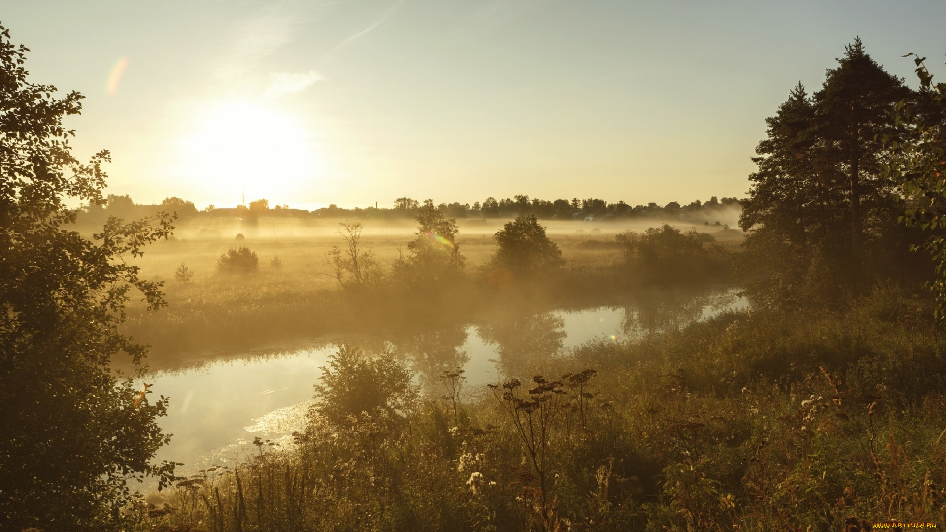 природа, реки, озера, горизонт, шевченко, николай, осень, туман, деревья, трава, речка