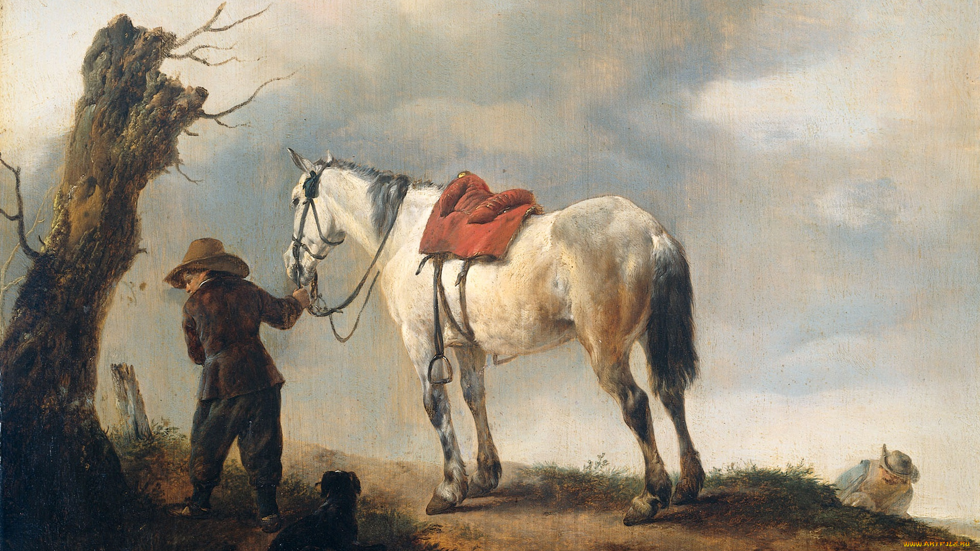 рисованное, живопись, картина, филипс, вауэрман, масло, белая, лошадь