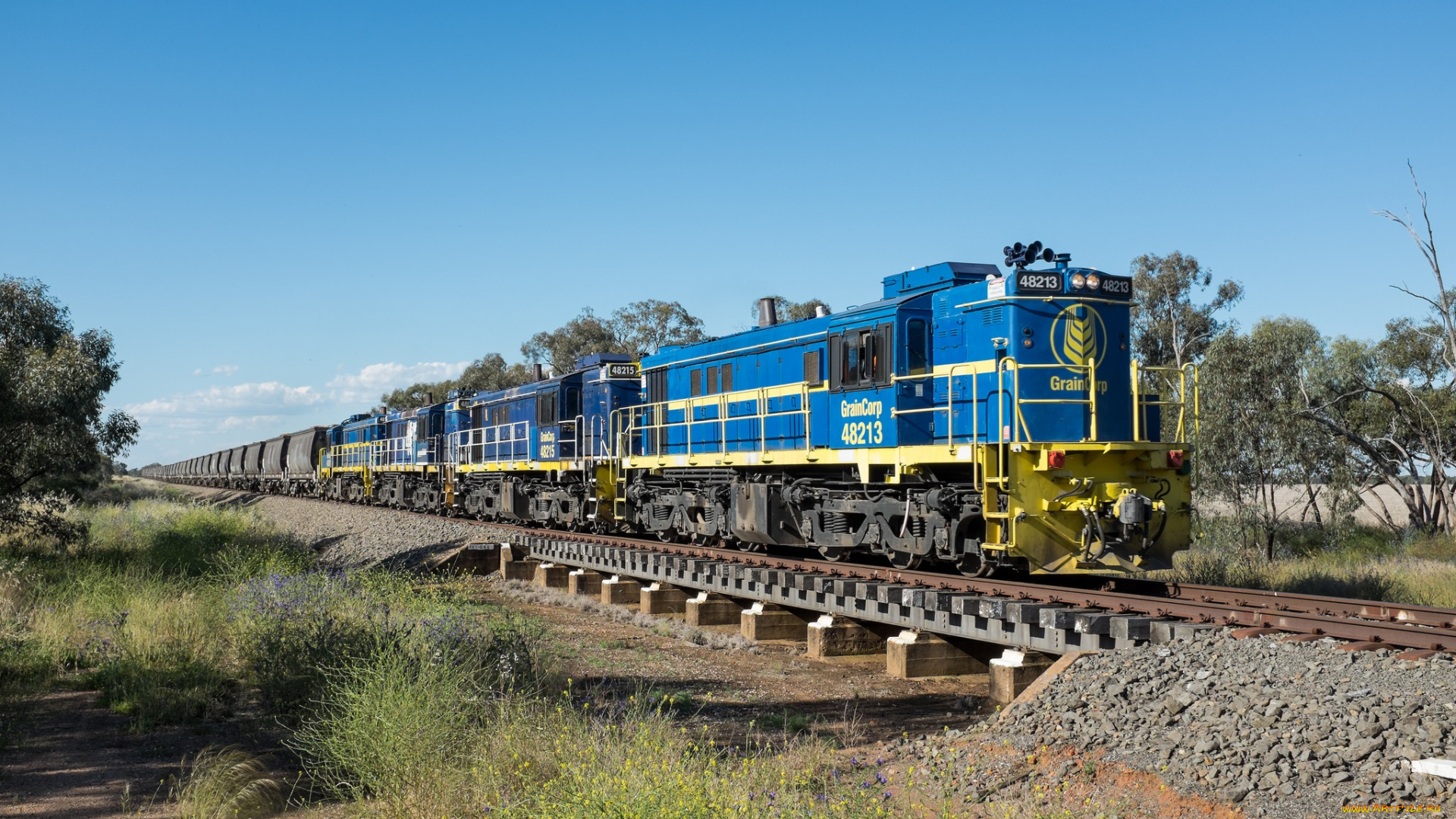 техника, поезда, локомотив, состав