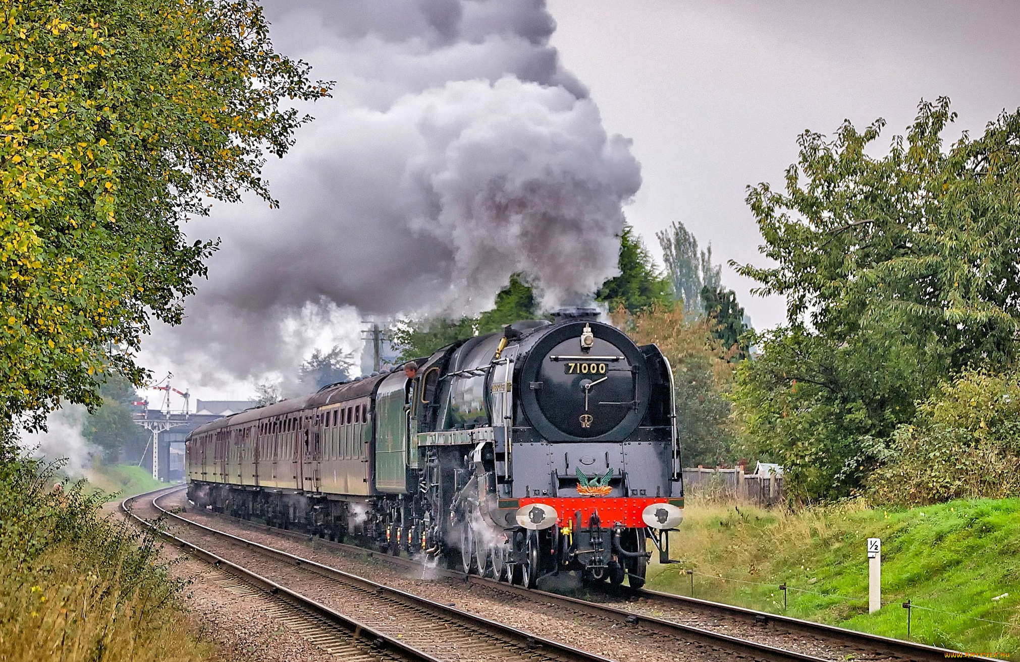 техника, паровозы, локомотив, состав