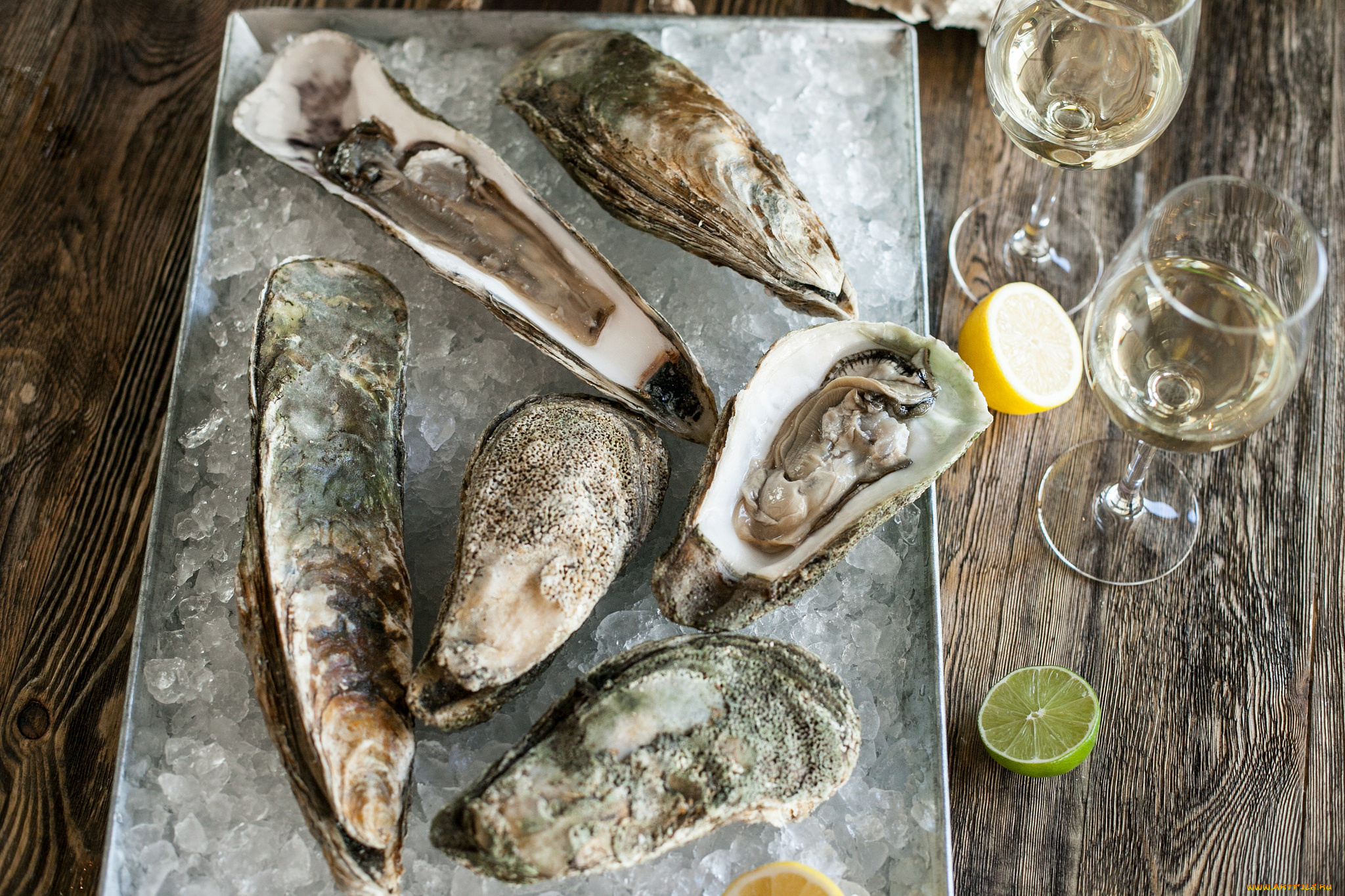 еда, рыба, , морепродукты, , суши, , роллы, вино, морепродукты, мидии