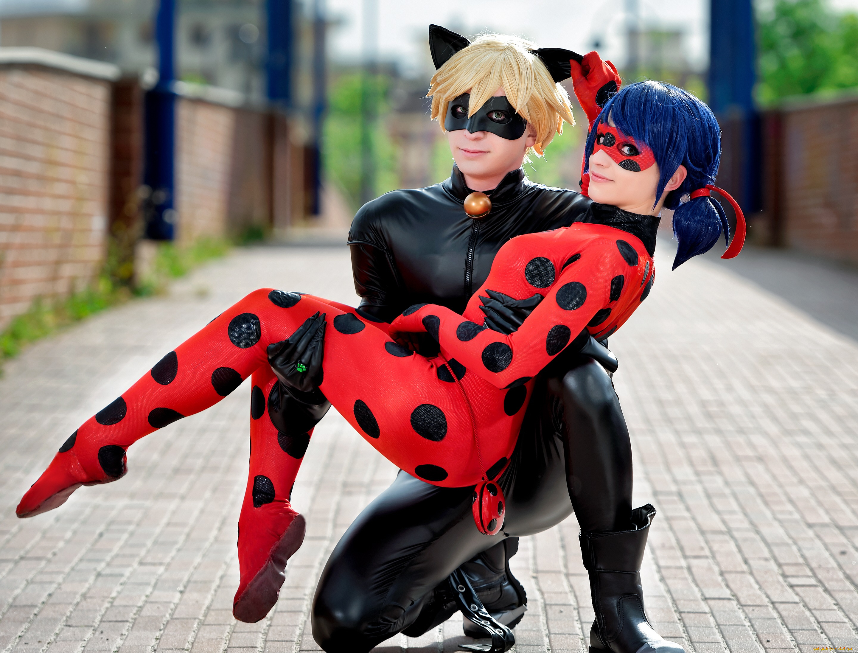 разное, cosplay, , косплей, леди, баг, и, супер, кот