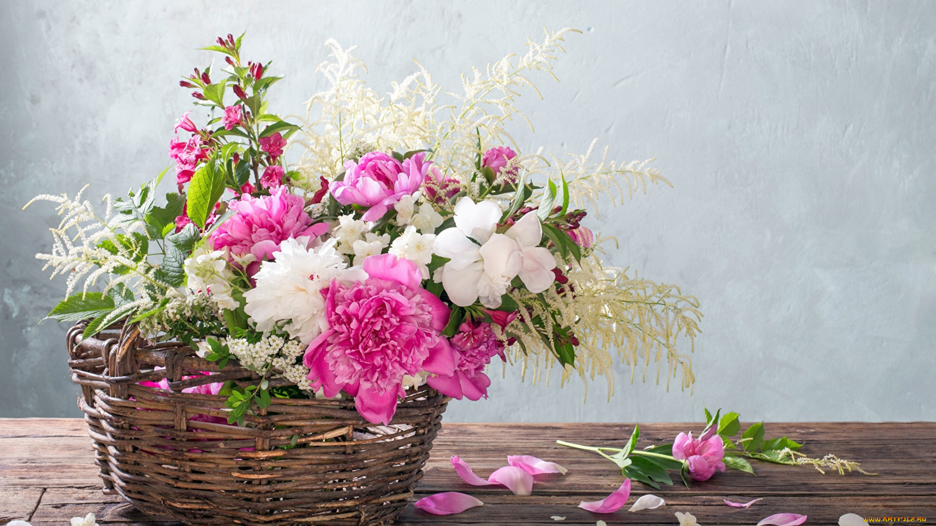 цветы, букеты, , композиции, пионы, жасмин, лепестки