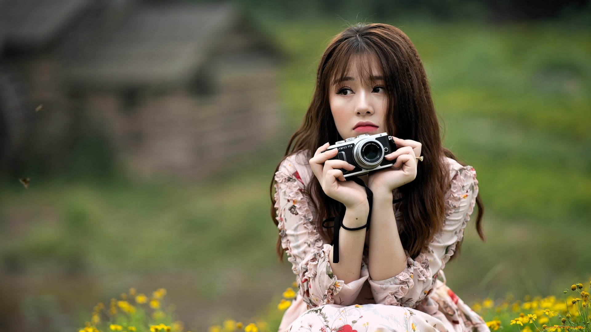 девушки, -, азиатки, шатенка, фотоаппарат, блузка, юбка, цветы