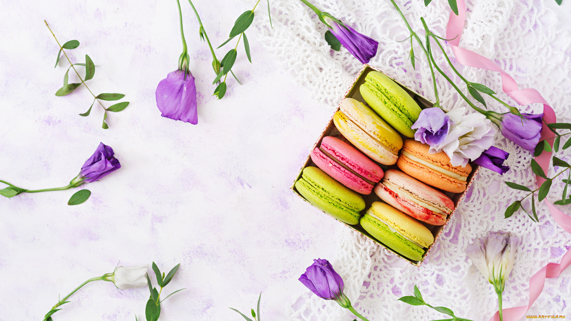 еда, макаруны, лакомство, ассорти, эустома