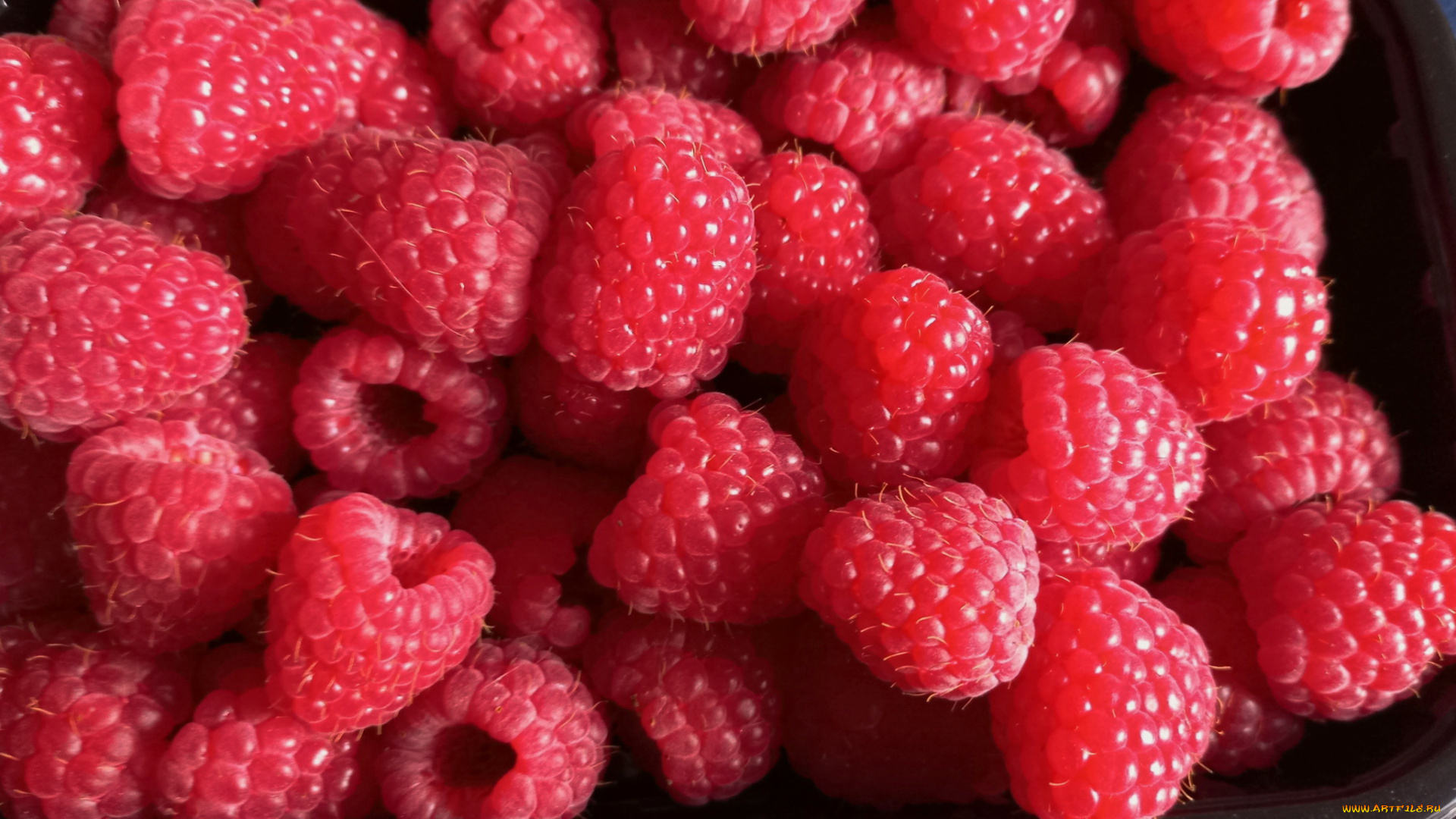 еда, малина, ягоды, спелая, макро