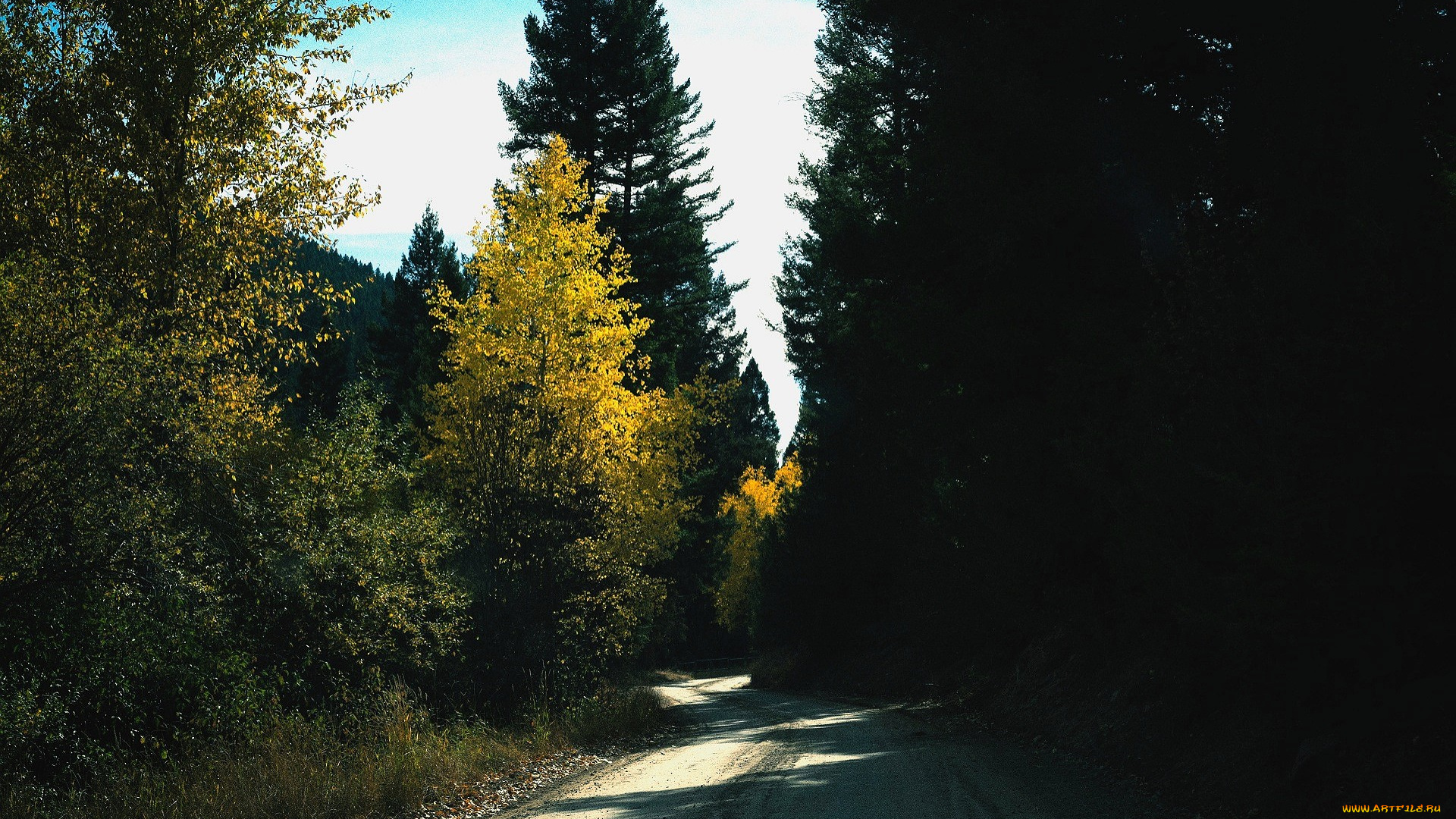 природа, дороги, лес, осень, дорога