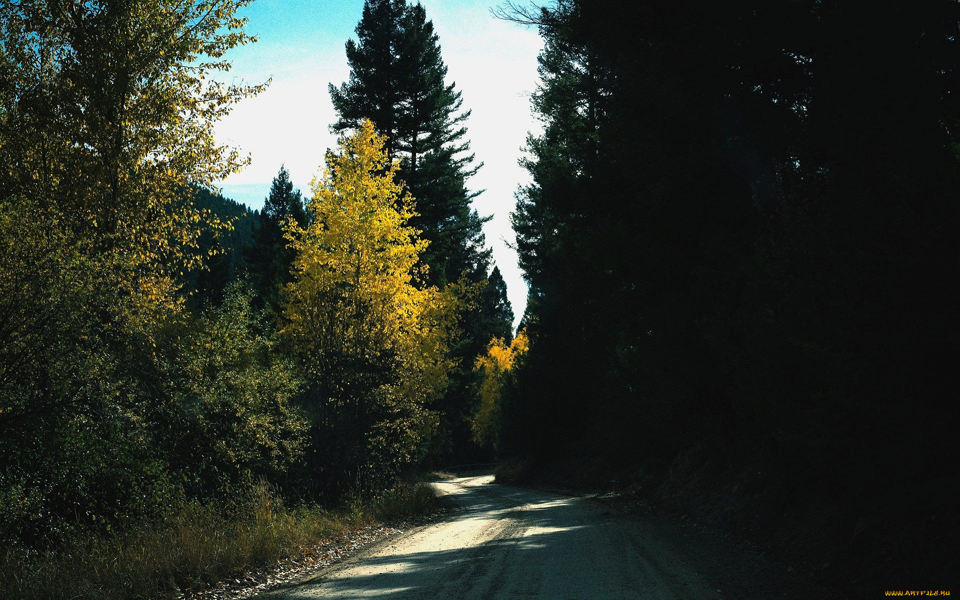 природа, дороги, лес, осень, дорога
