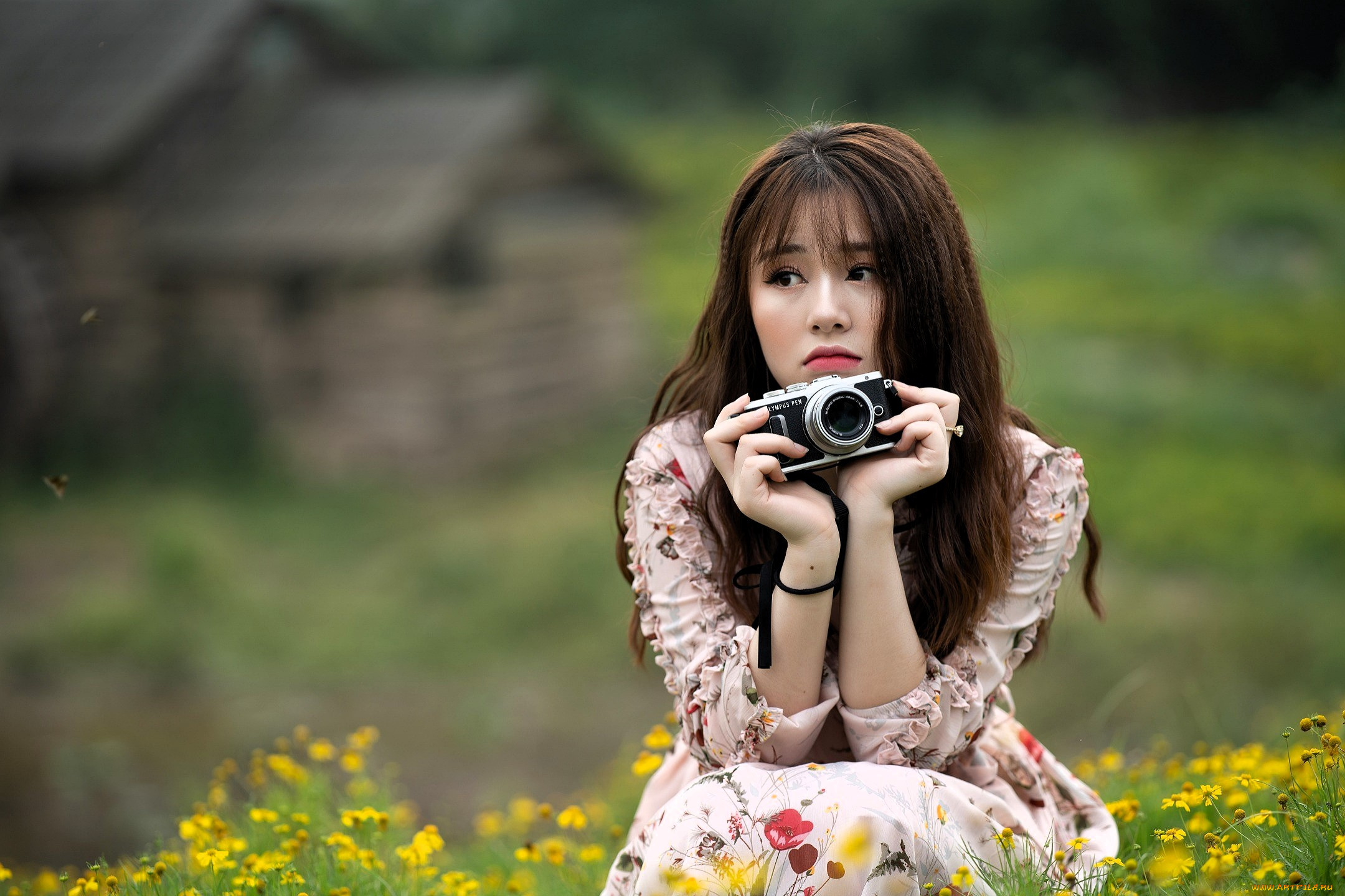 девушки, -, азиатки, шатенка, фотоаппарат, блузка, юбка, цветы