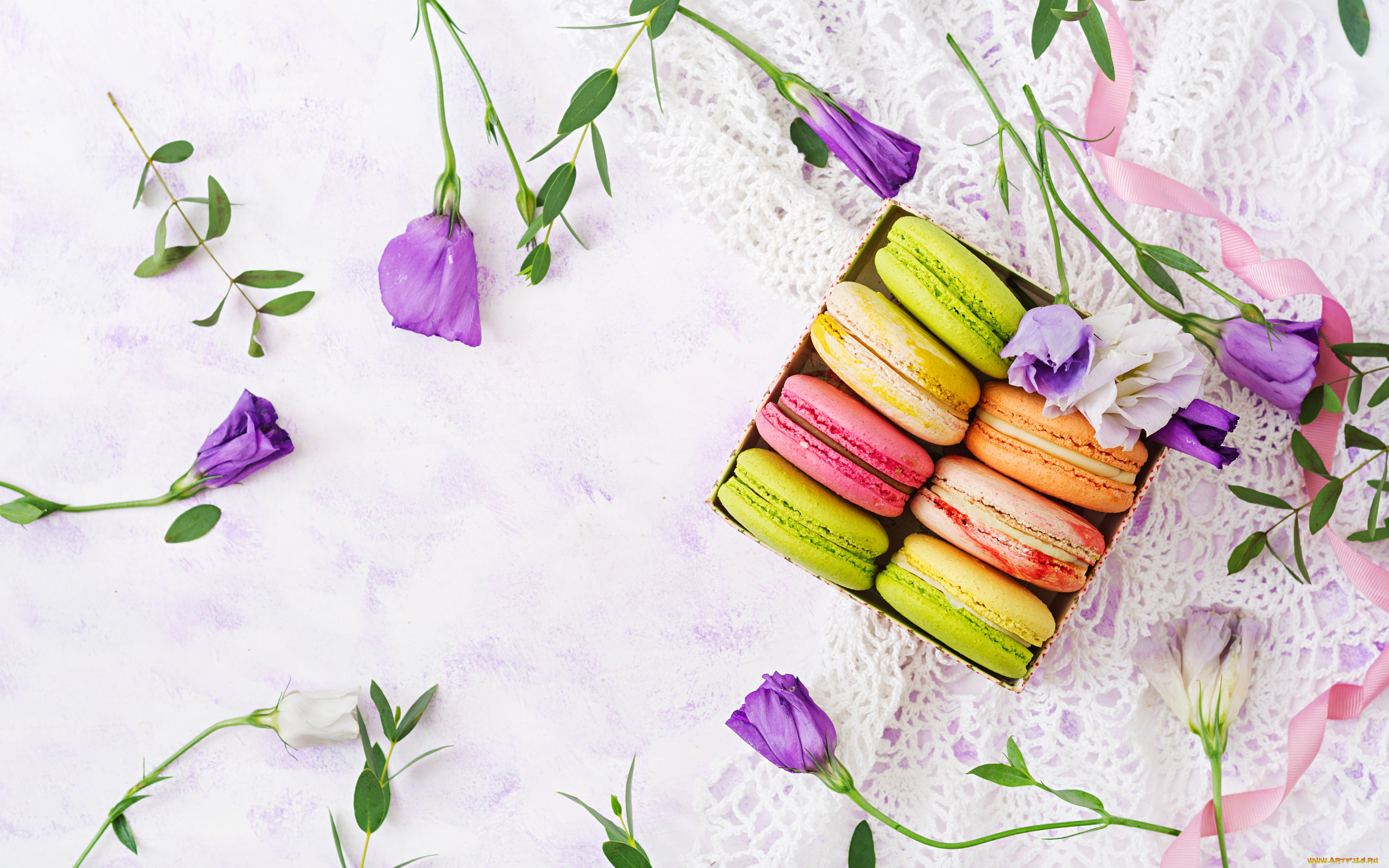 еда, макаруны, лакомство, ассорти, эустома