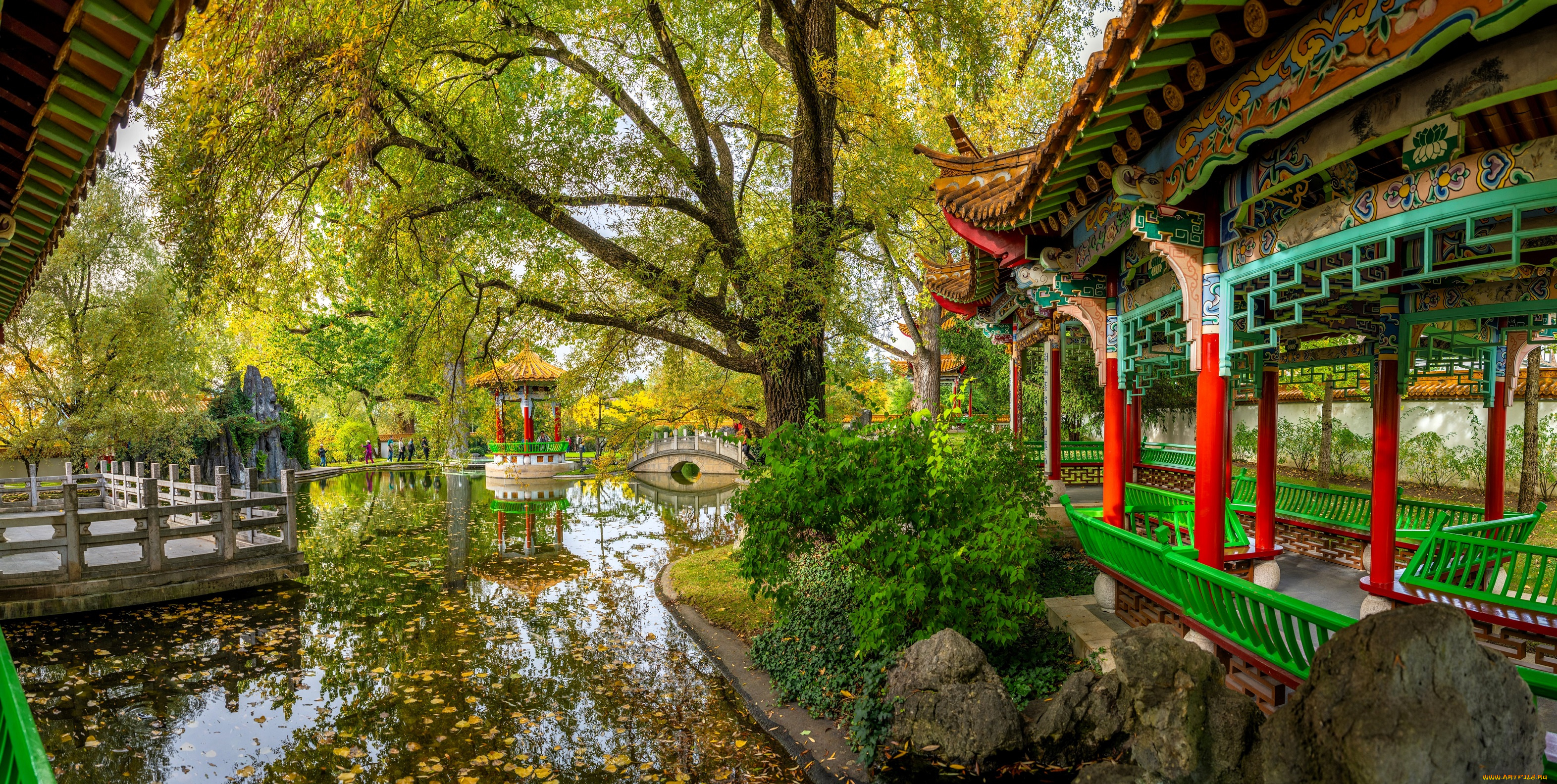 города, цюрих, , швейцария, парк, пруд, листья, деревья, осень, здания, павильоны