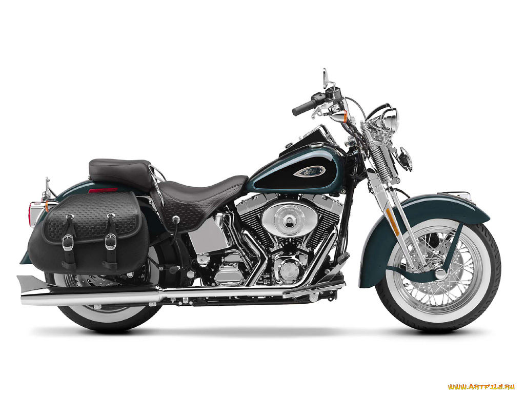 flsts, мотоциклы, harley, davidson
