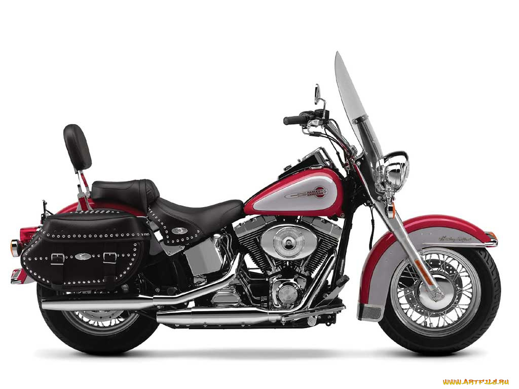 harley, flstc, мотоциклы, davidson