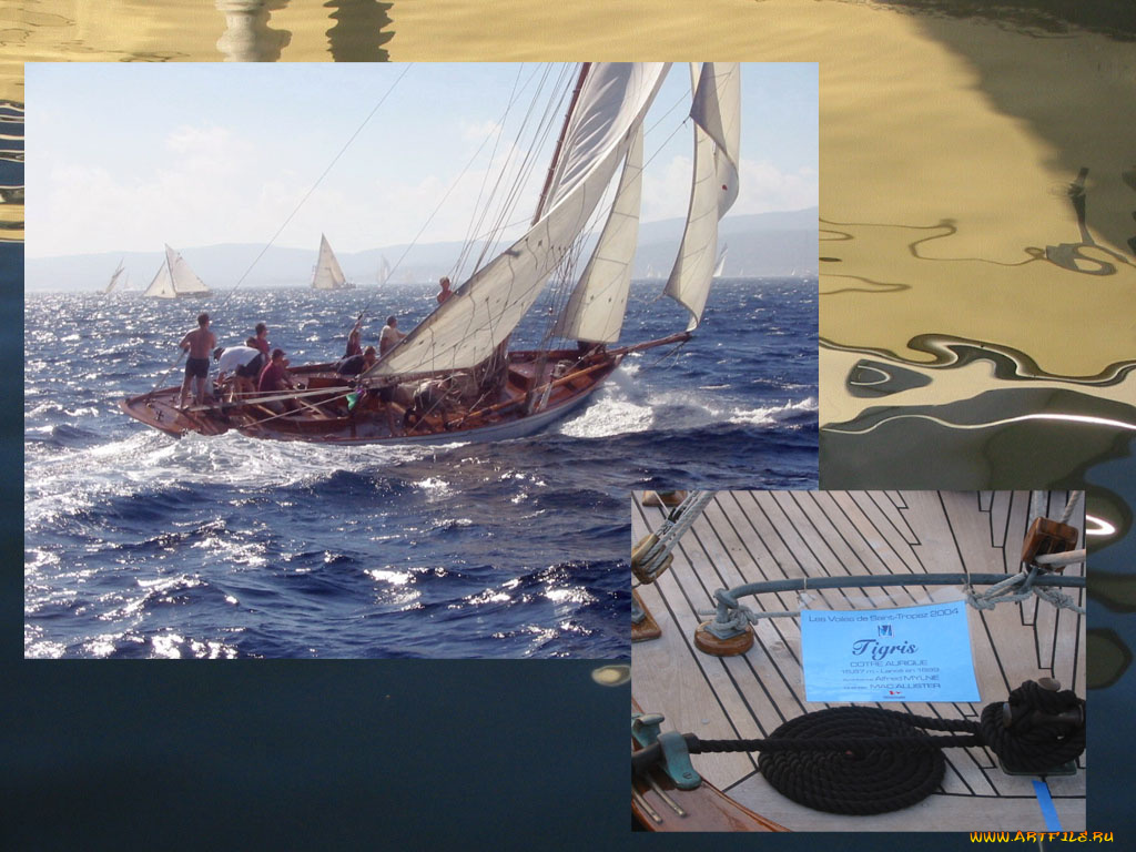 корабли, Яхты