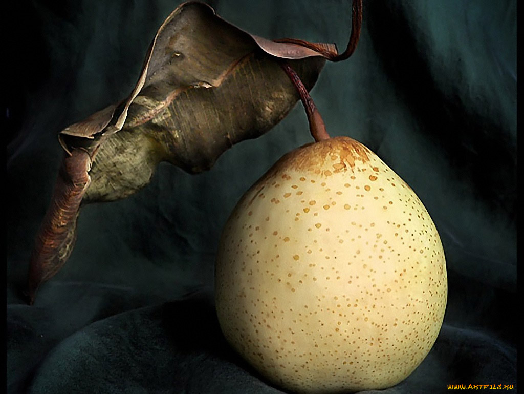 дама, экстравагантной, шляпе, by, nika, еда, груши