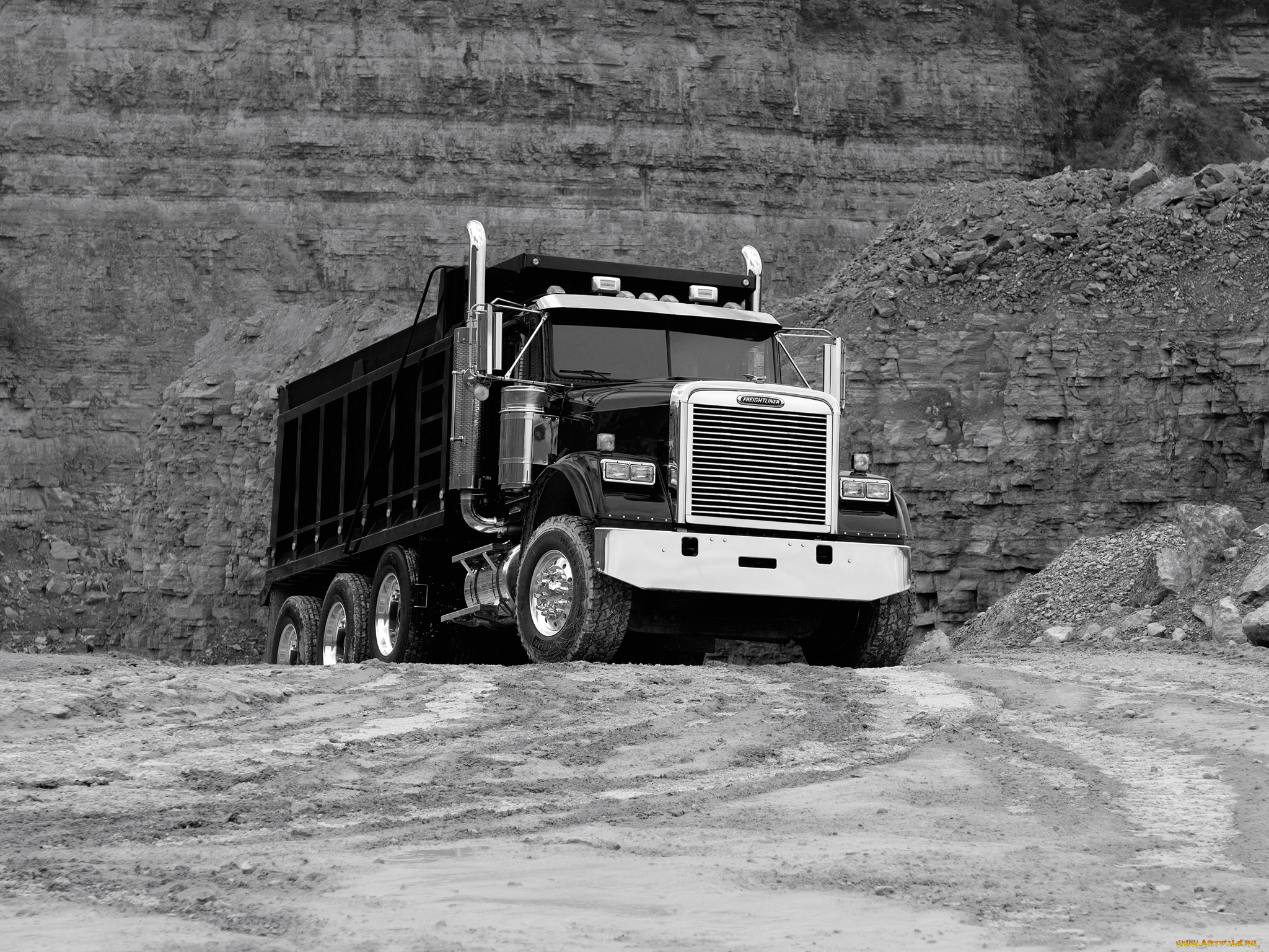 автомобили, freightliner