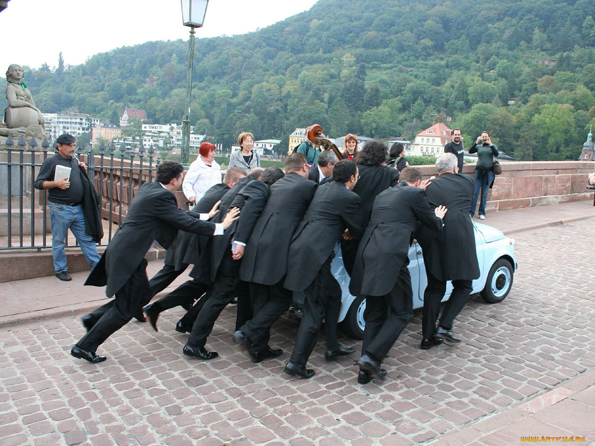 юмор, приколы