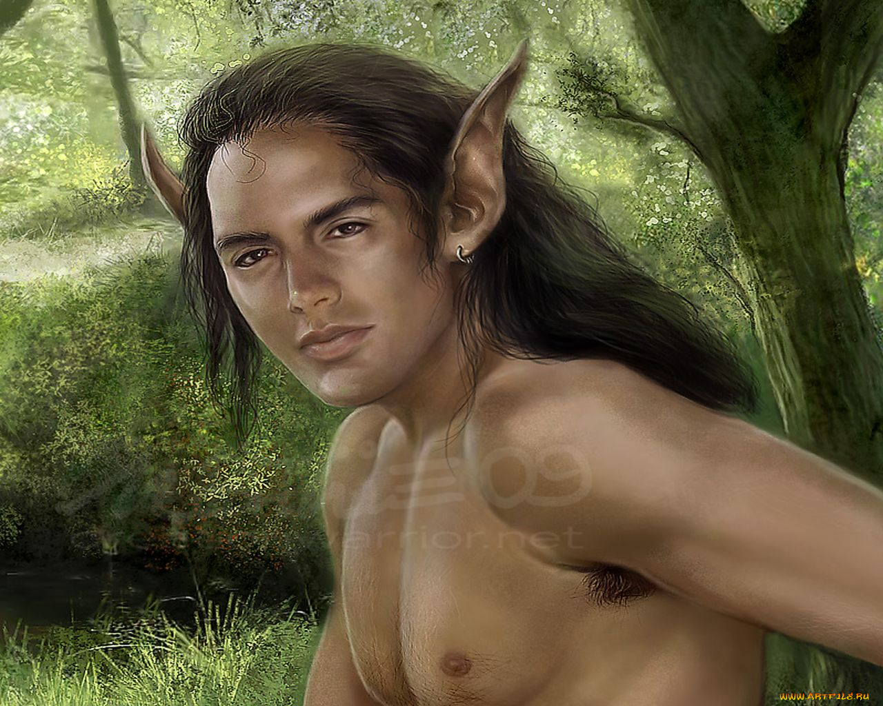 фэнтези, эльфы