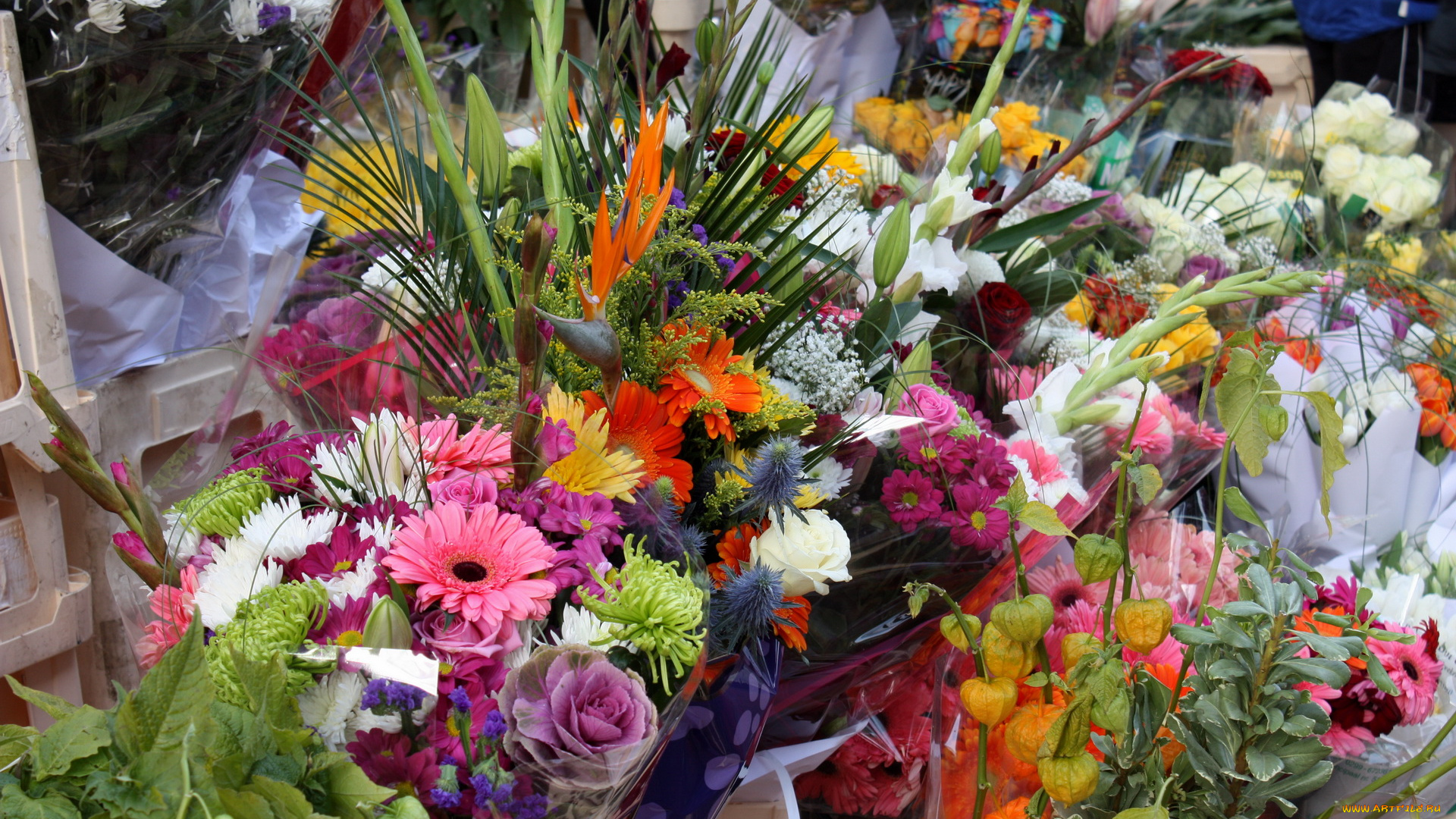 цветы, разные, вместе, лилии, физалис, хризантемы, герберы