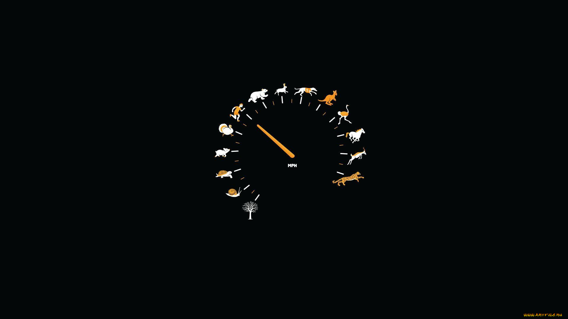 векторная, графика, животные, спидометр, скорость