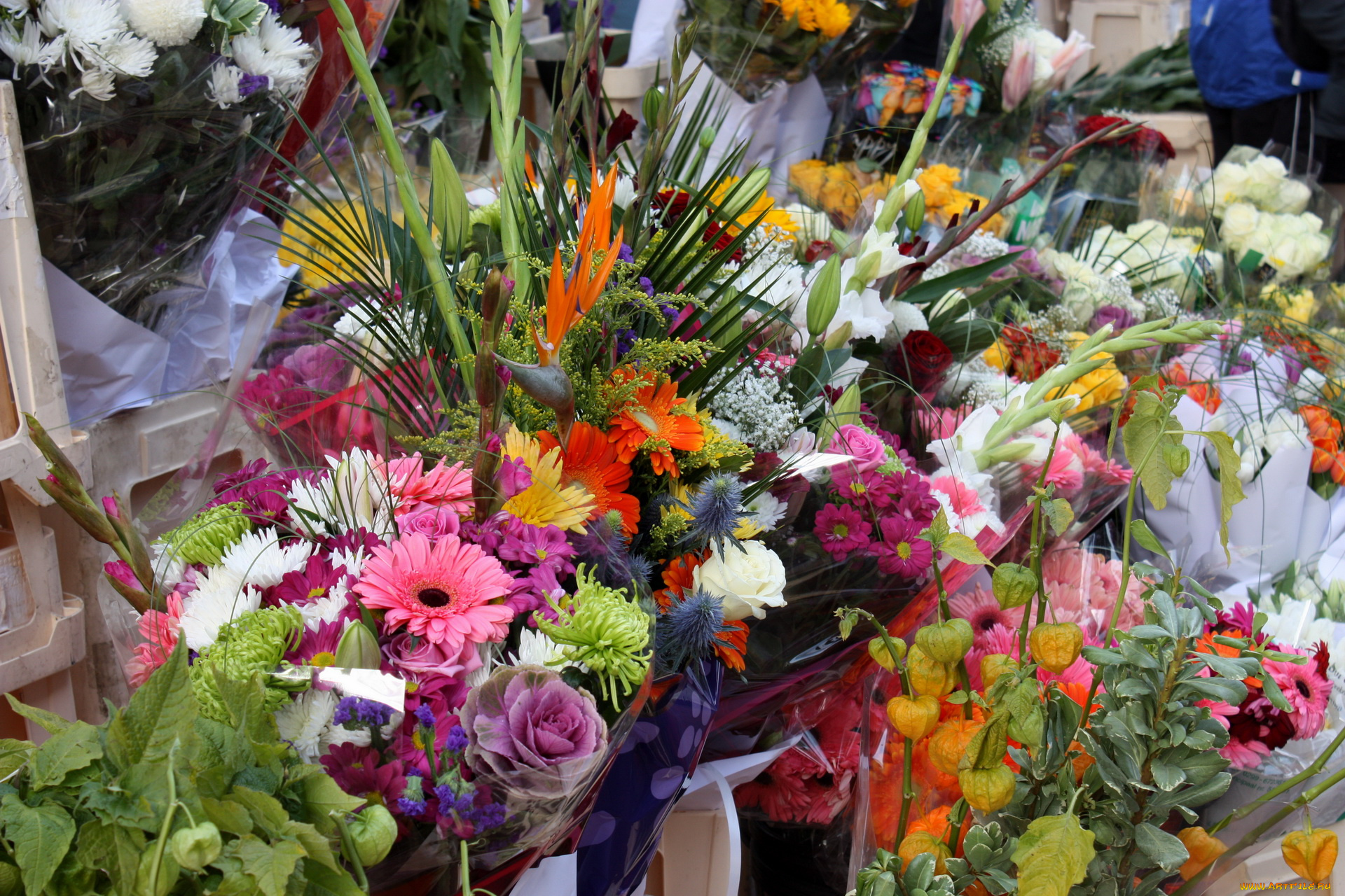 цветы, разные, вместе, лилии, физалис, хризантемы, герберы