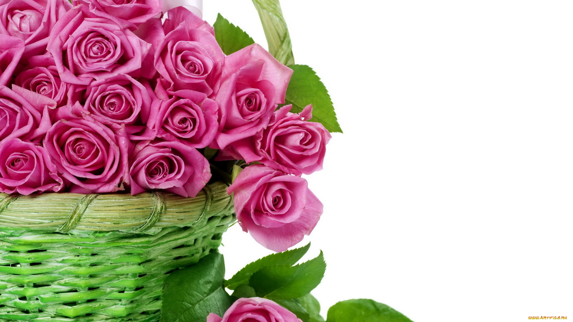 цветы, розы, корзина, букет