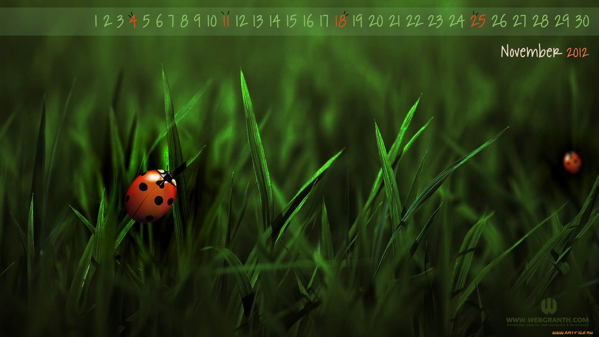 календари, 3д, графика, трава, божья, коровка