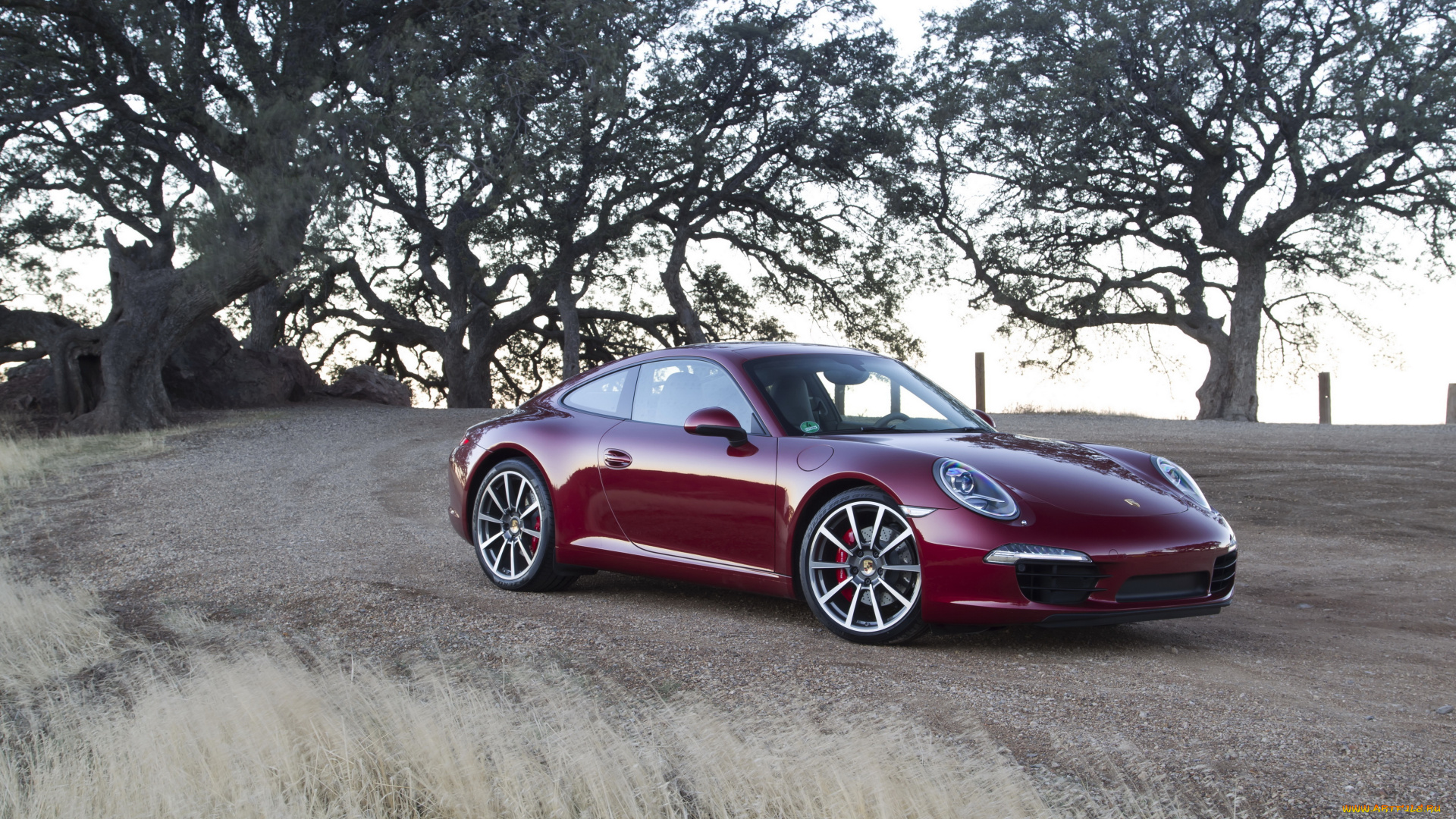 2011, porsche, 911, carrera, автомобили