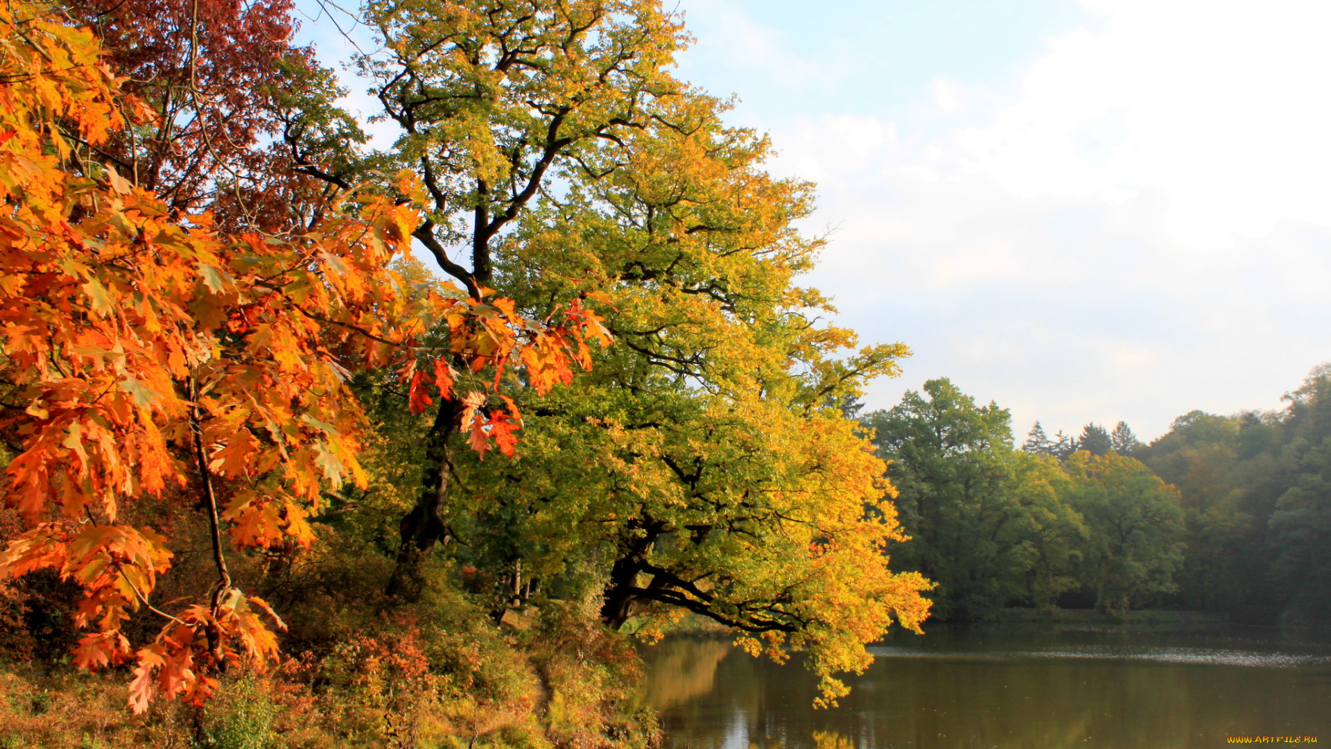 Чехия, pruhonice, природа, реки, озера, река, осень, лес